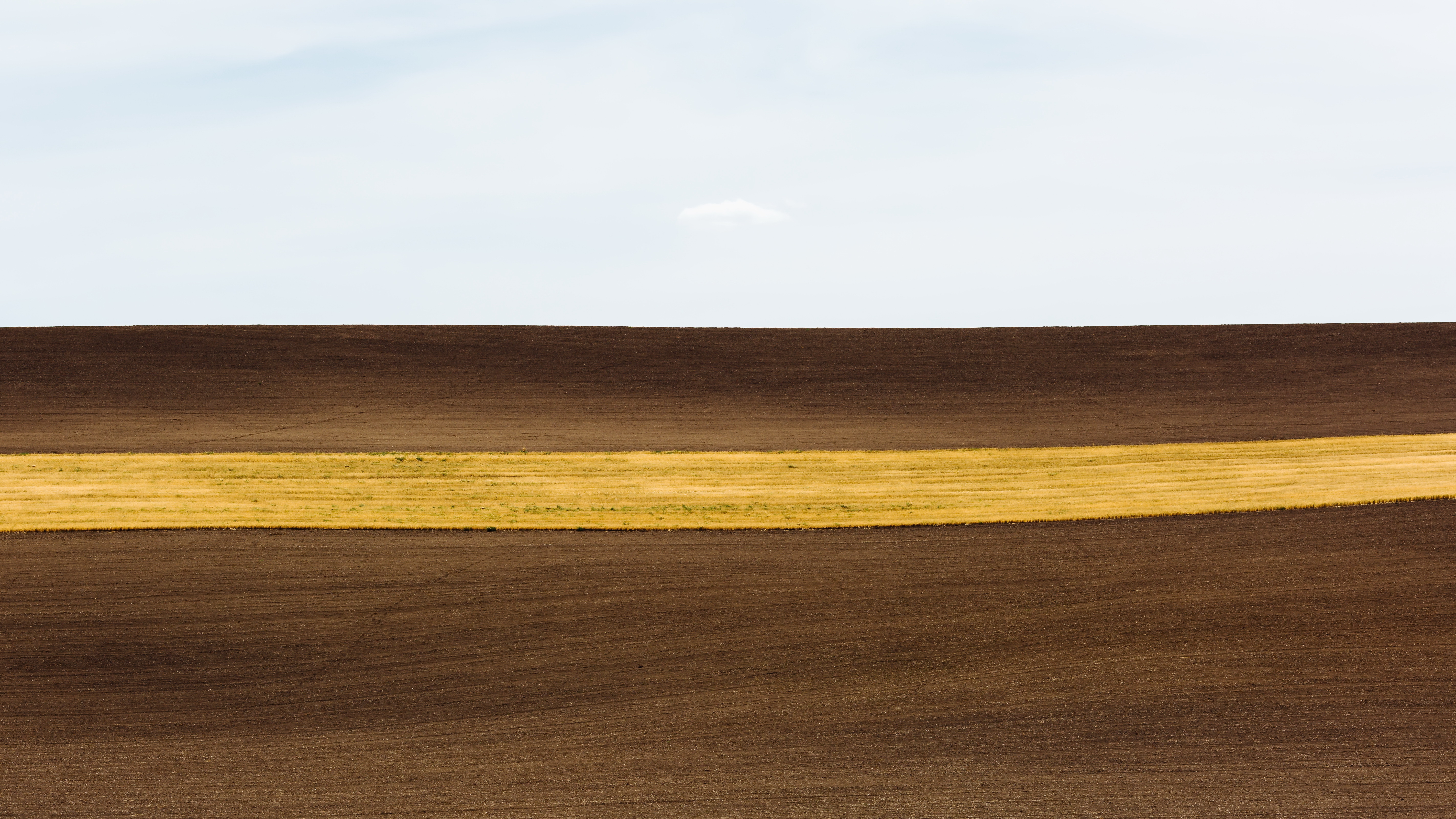 Descarga gratis la imagen Naturaleza, Campo, Tierra/naturaleza en el escritorio de tu PC