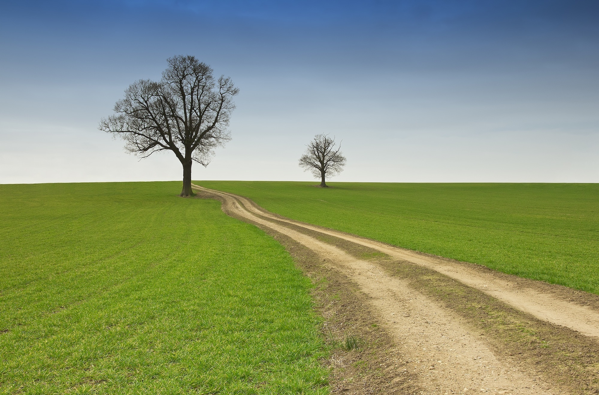 Wallpaper Full HD trees, nature, road, summer, field, country, emptiness, void, countryside