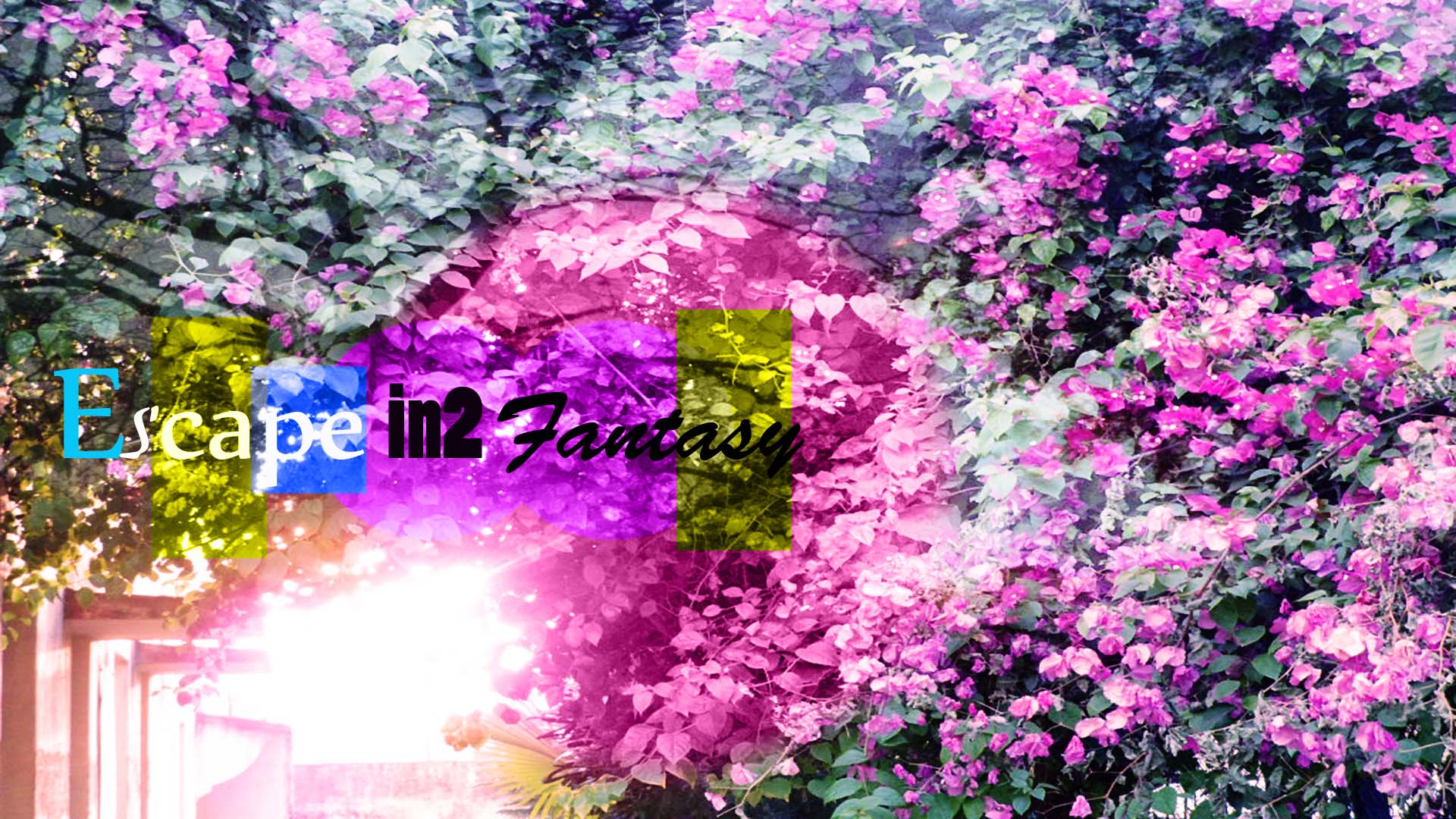 Free download wallpaper Nature, Flower, Light, Purple, Lens, Statement, Misc on your PC desktop