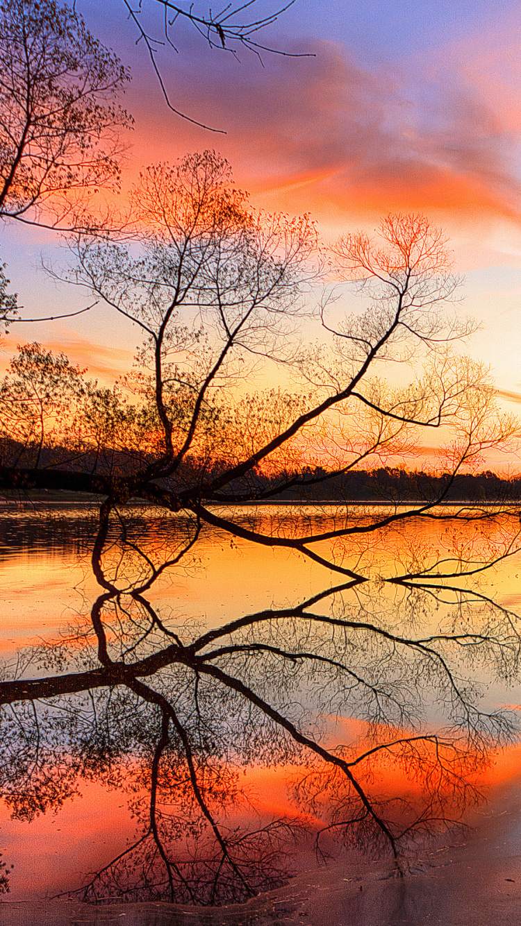 Descarga gratuita de fondo de pantalla para móvil de Fotografía, Reflejo.