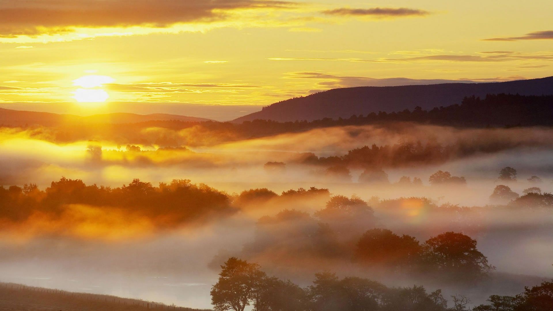 Téléchargez gratuitement l'image Brouillard, Terre/nature, Lever De Soleil sur le bureau de votre PC