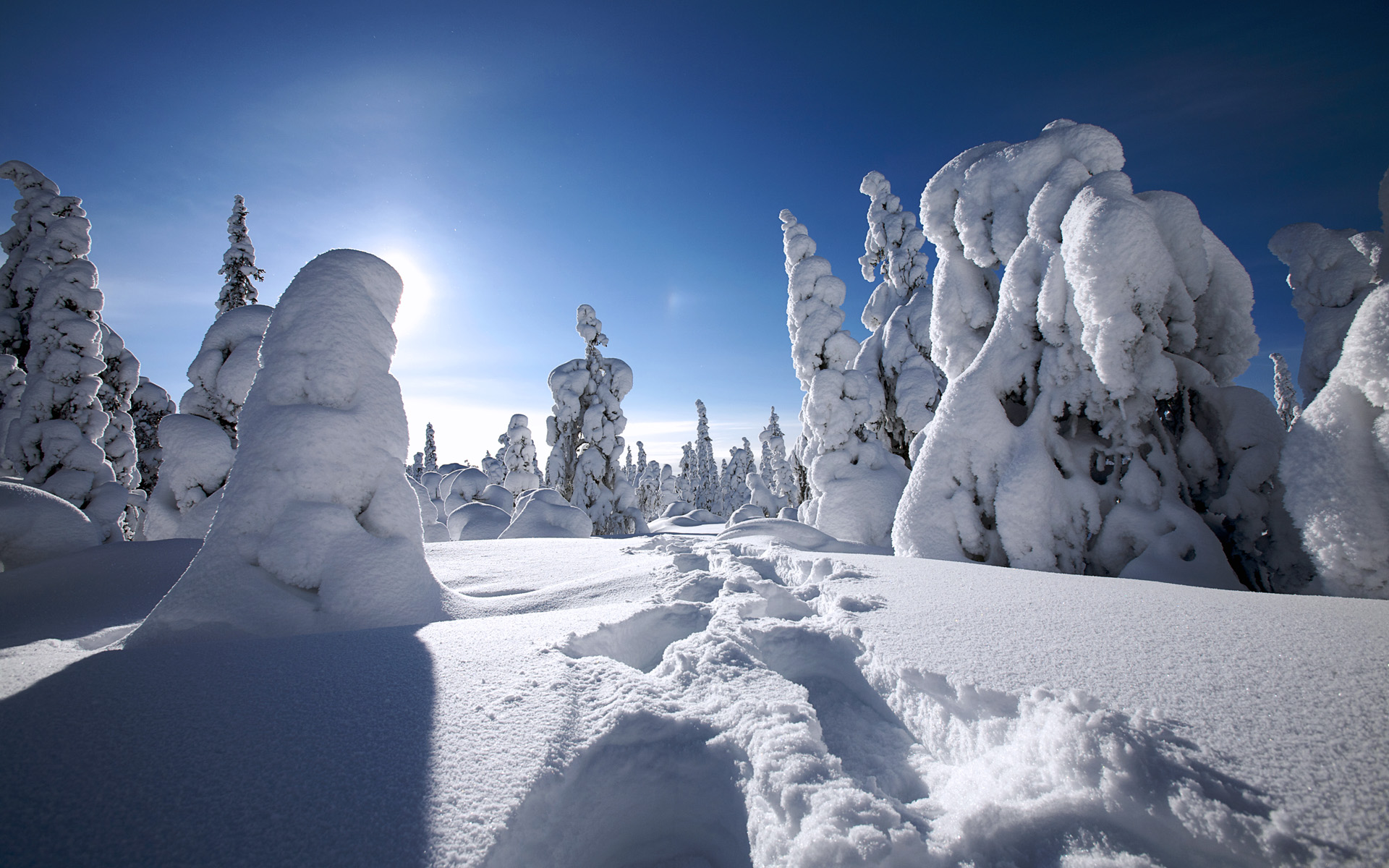 Handy-Wallpaper Winter, Erde/natur kostenlos herunterladen.