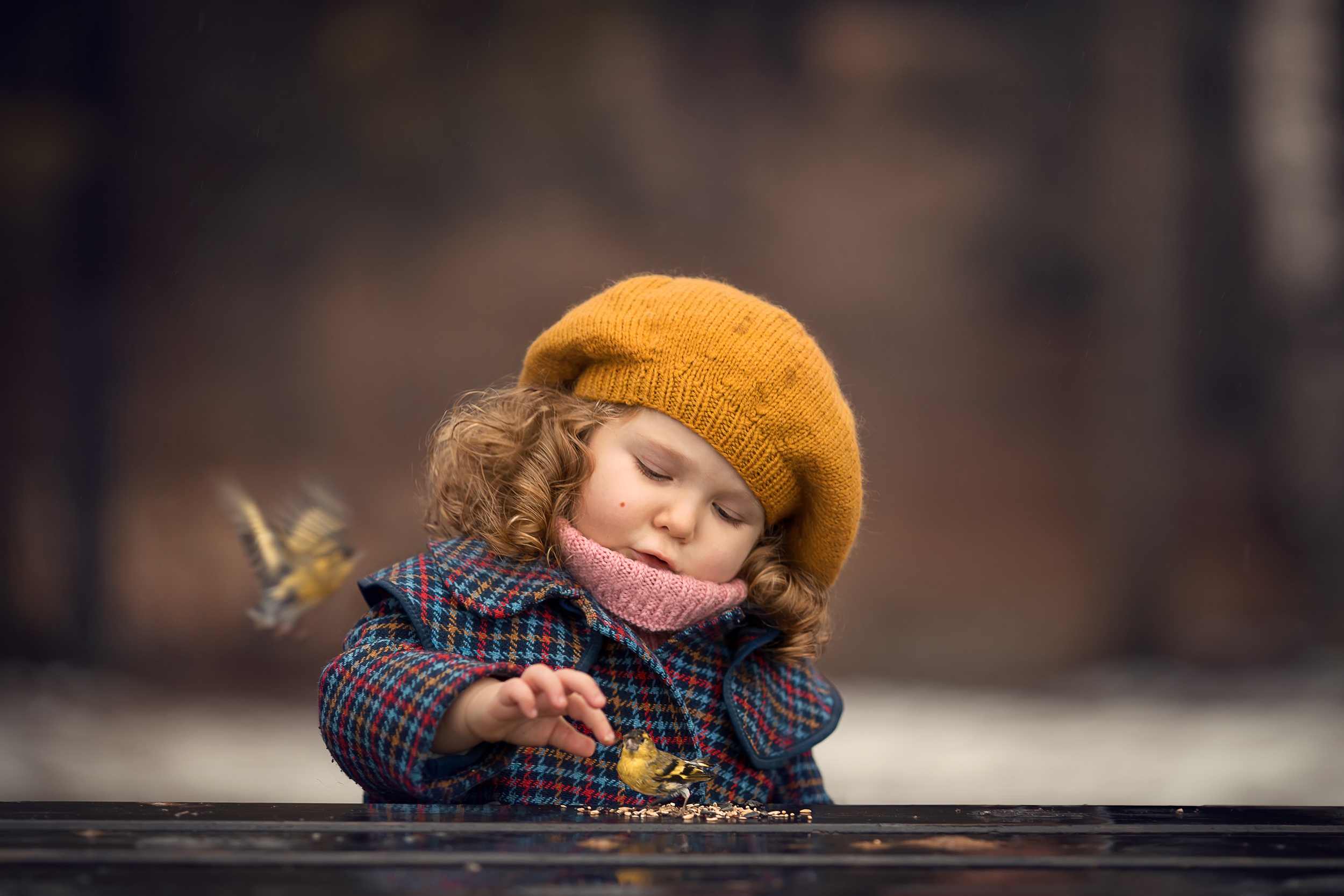 Free download wallpaper Bird, Child, Hat, Photography, Depth Of Field on your PC desktop