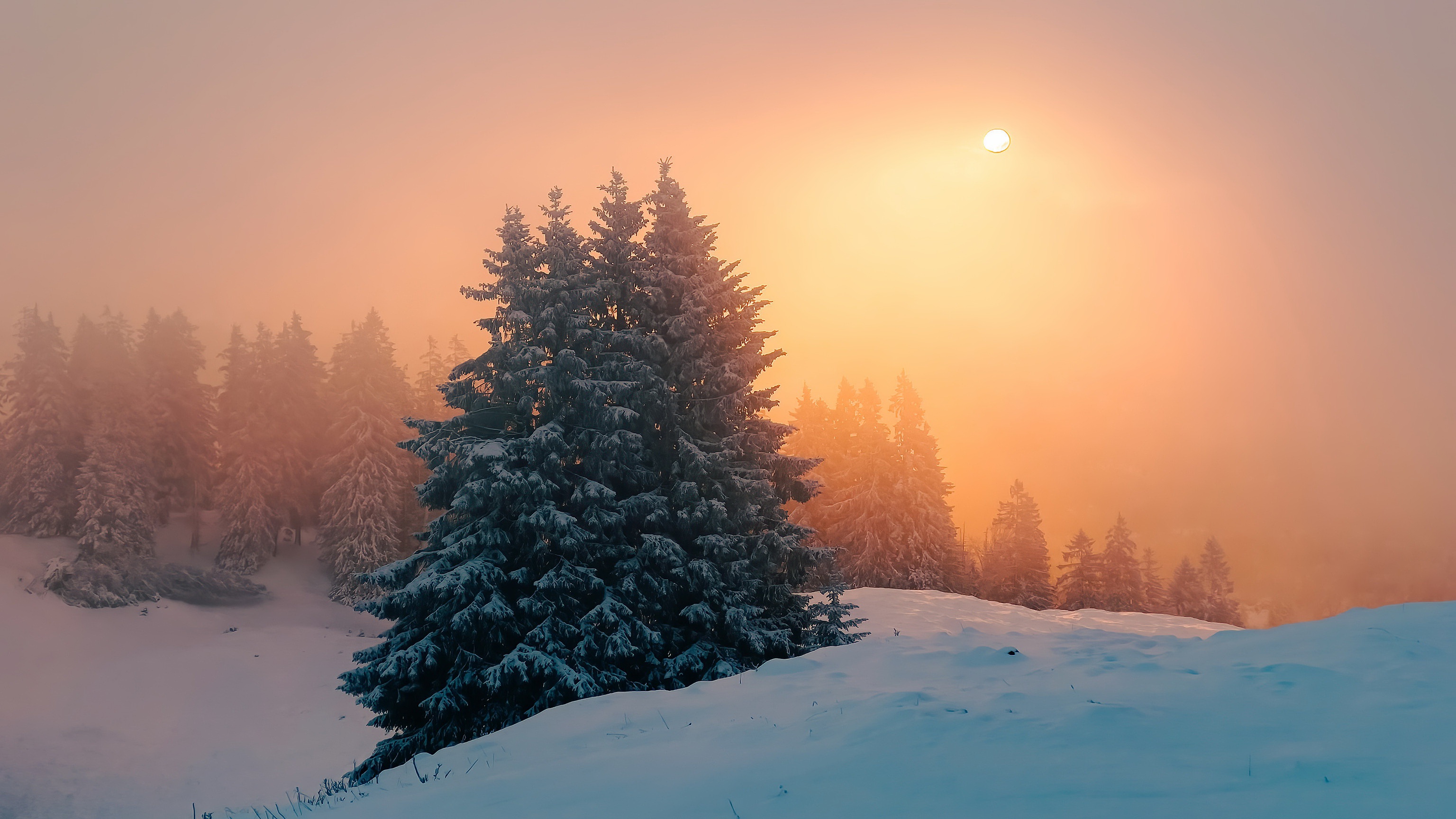 Download mobile wallpaper Winter, Sunset, Fog, Earth for free.