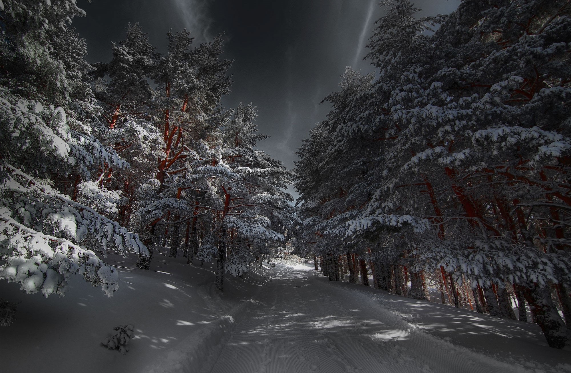 Téléchargez gratuitement l'image Hiver, Terre/nature sur le bureau de votre PC