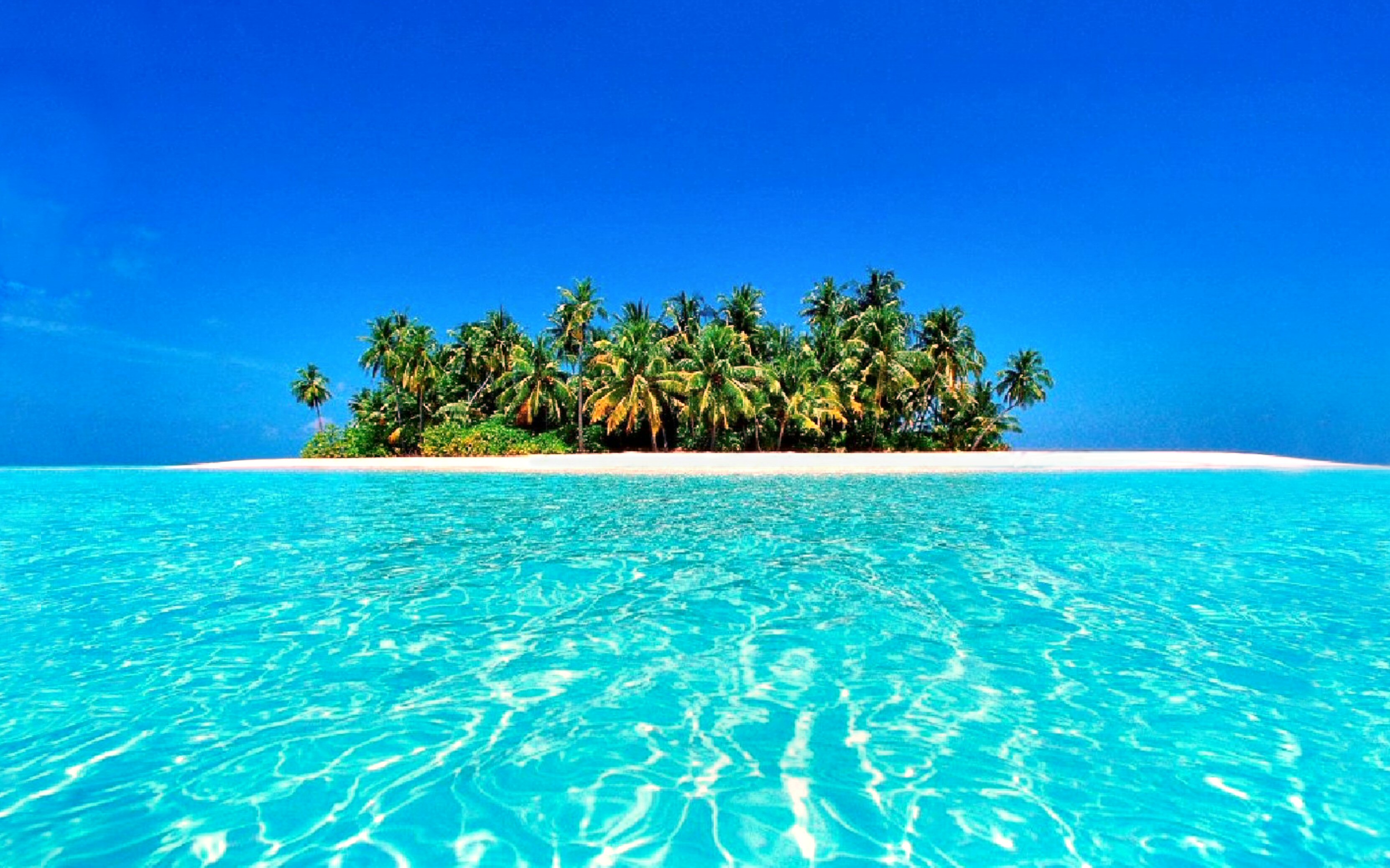 1462918 baixar papel de parede palmeira, verão, praia, terra/natureza, tropical, azure, horizonte, ilha, maldivas, ensolarado, turquesa - protetores de tela e imagens gratuitamente