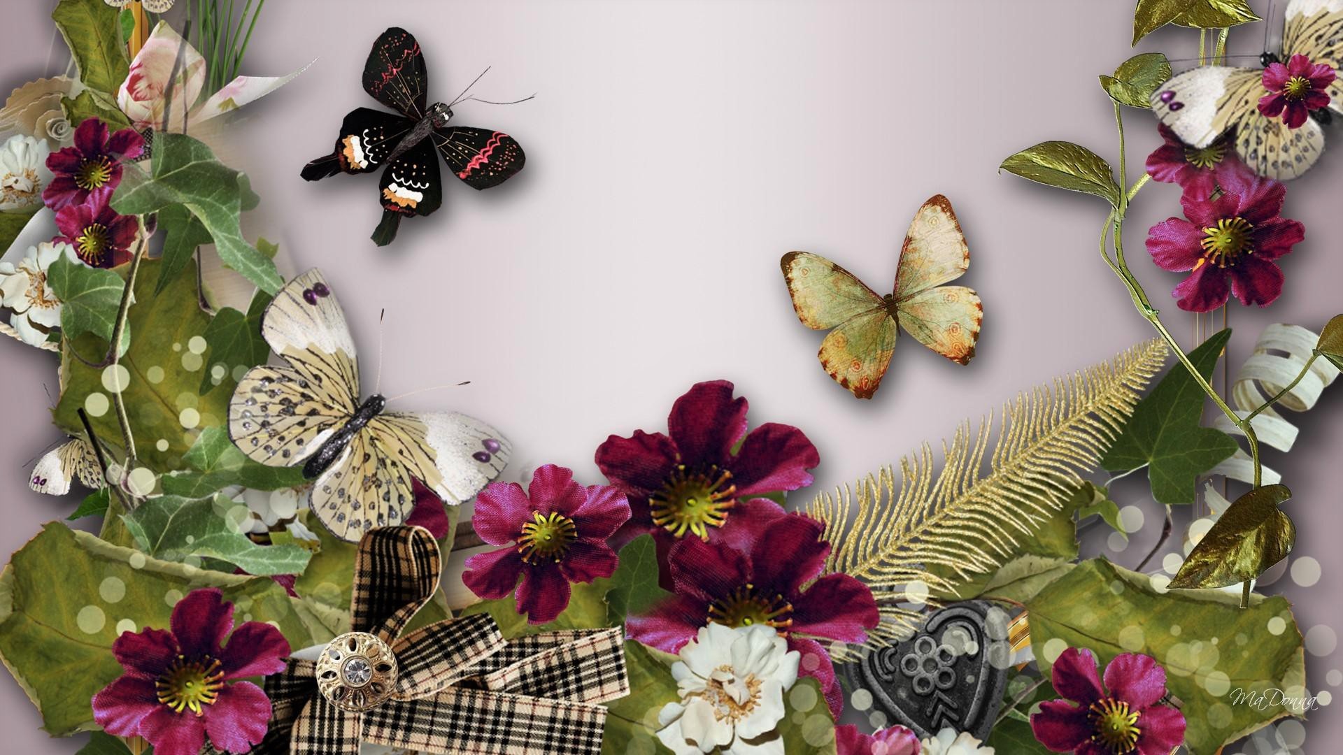 428346 Bildschirmschoner und Hintergrundbilder Schmetterlinge auf Ihrem Telefon. Laden Sie  Bilder kostenlos herunter