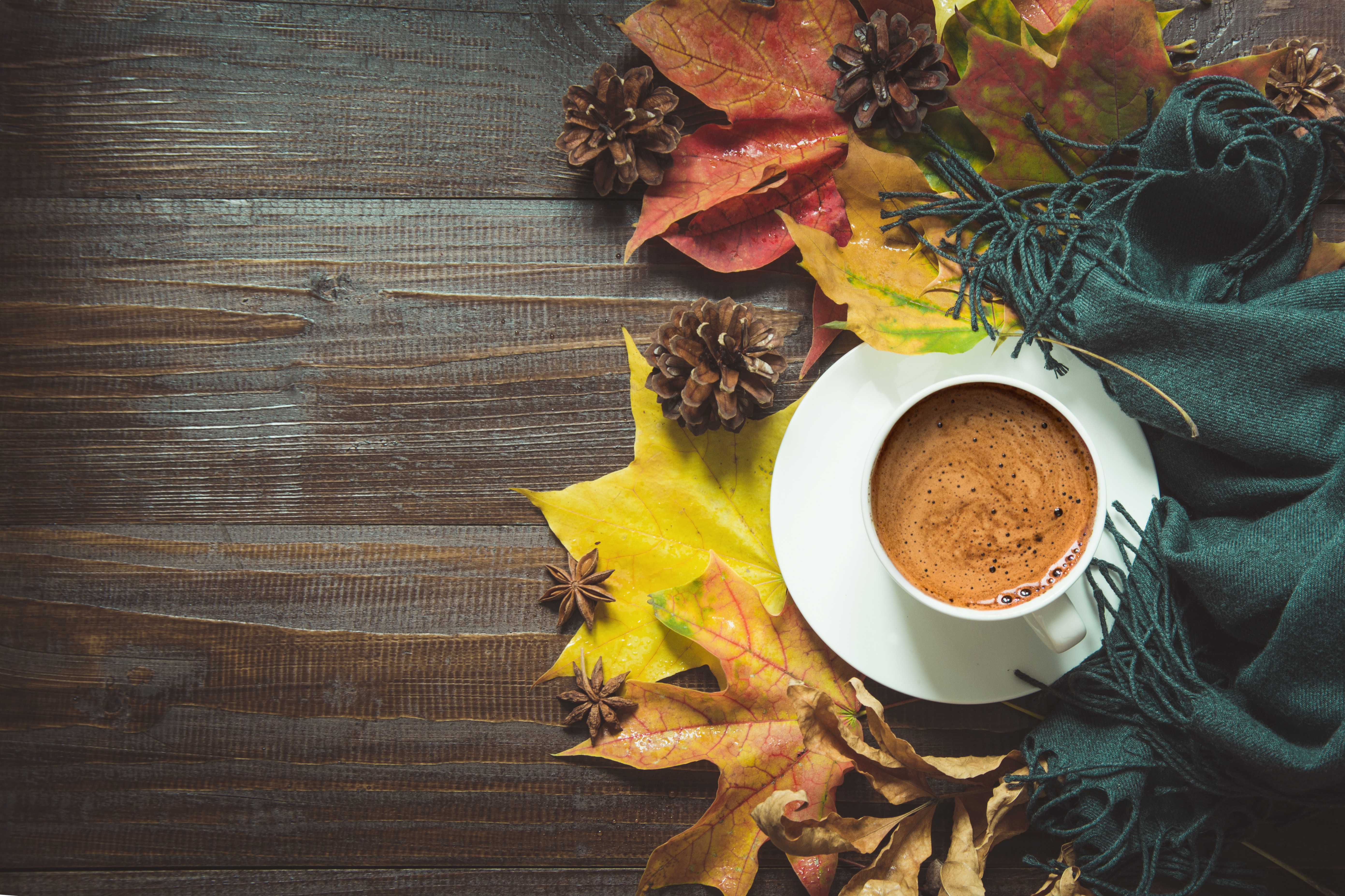 Download mobile wallpaper Food, Coffee, Still Life, Cup, Leaf, Fall, Drink for free.