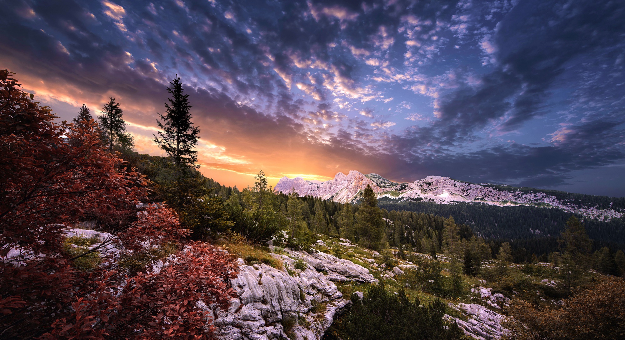 Descarga gratis la imagen Paisaje, Naturaleza, Cielo, Montaña, Bosque, Nube, Tierra/naturaleza en el escritorio de tu PC