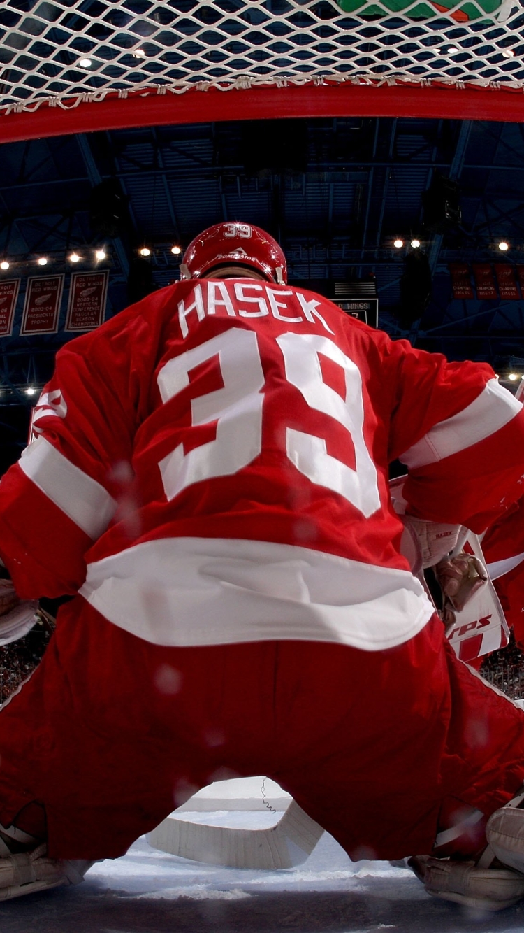 Descarga gratuita de fondo de pantalla para móvil de Hockey, Deporte, Dominik Hasek.