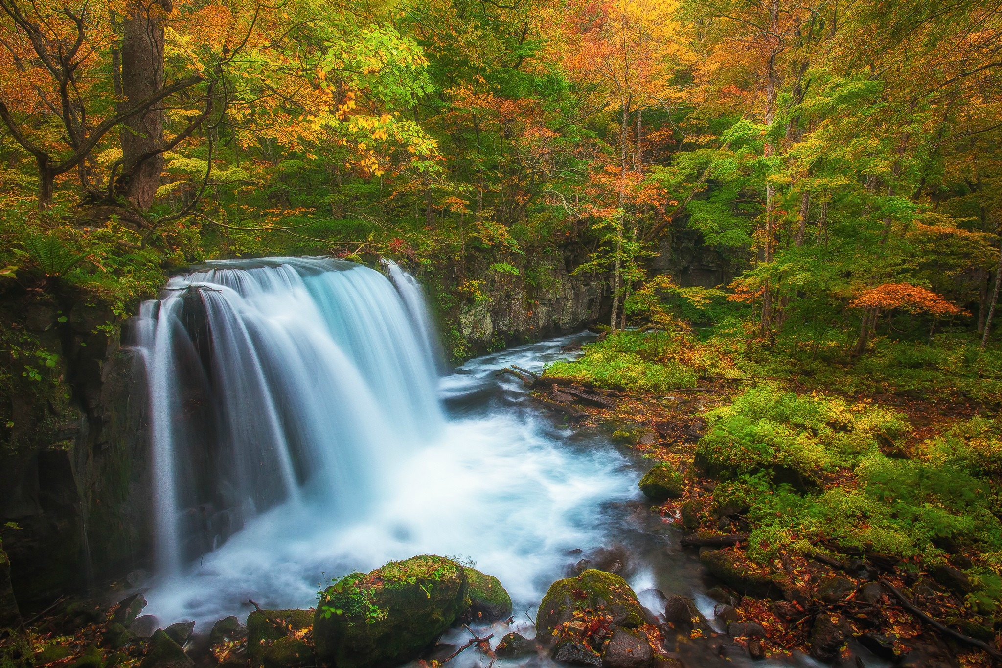 Handy-Wallpaper Herbst, Wasserfälle, Wasserfall, Wald, Erde/natur kostenlos herunterladen.