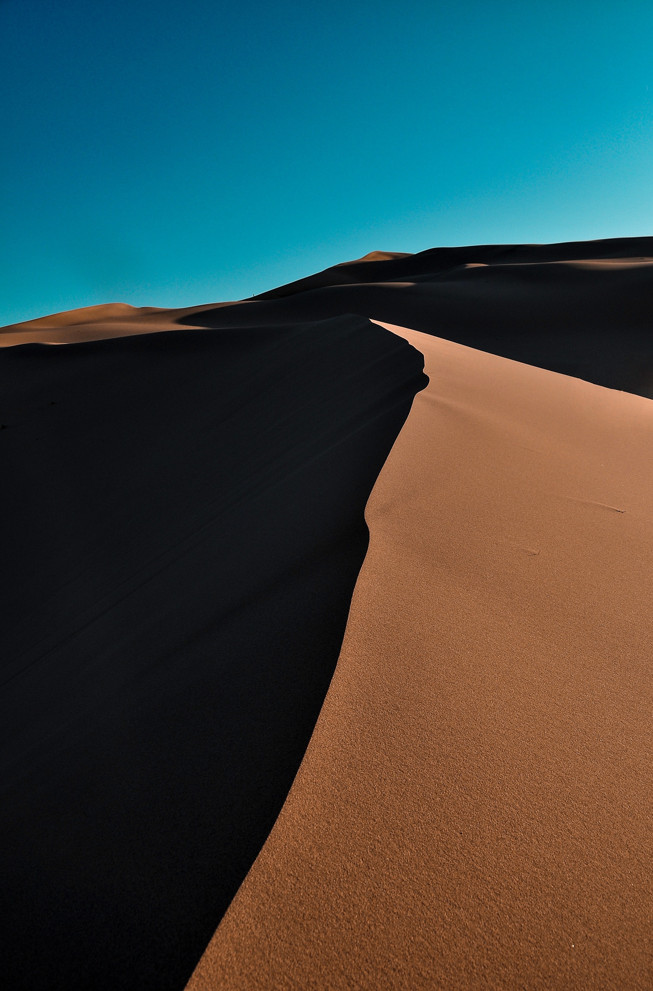 nature, sand, desert, wavy, dunes, links Free Background