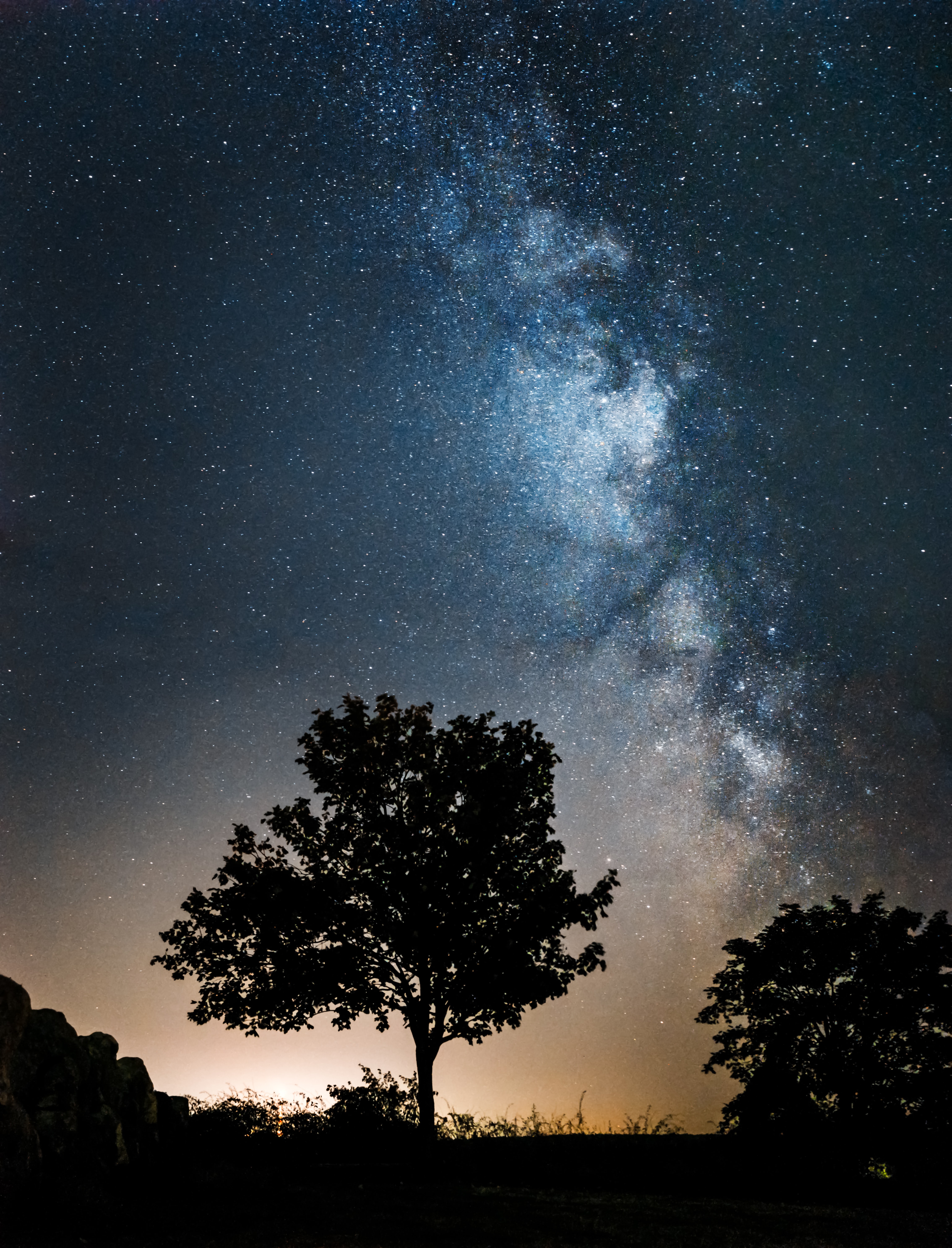 milky way, night, trees, nature, stars, dark, silhouettes phone wallpaper