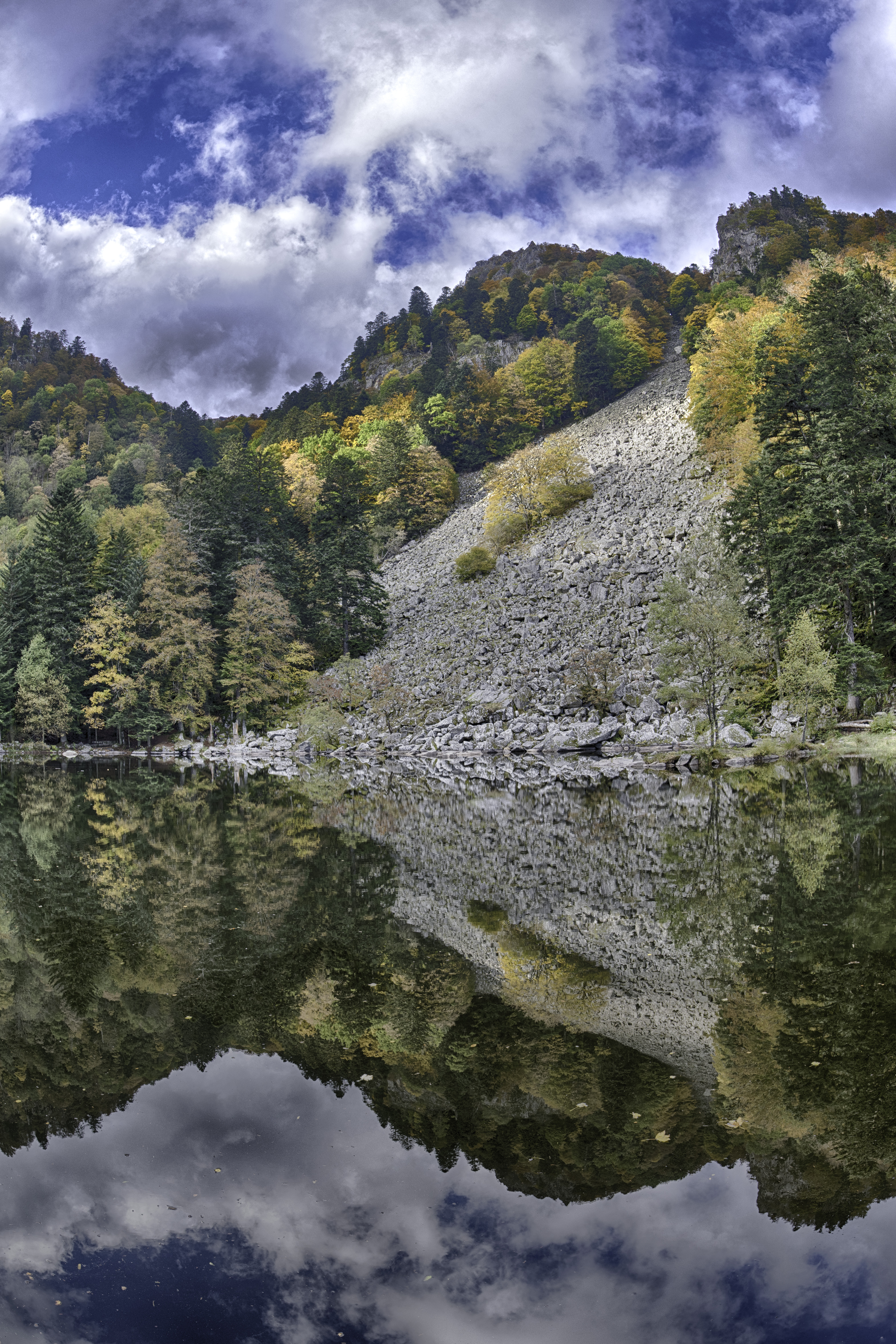 無料モバイル壁紙自然, 木, 湖, 山, 反射, 風景をダウンロードします。