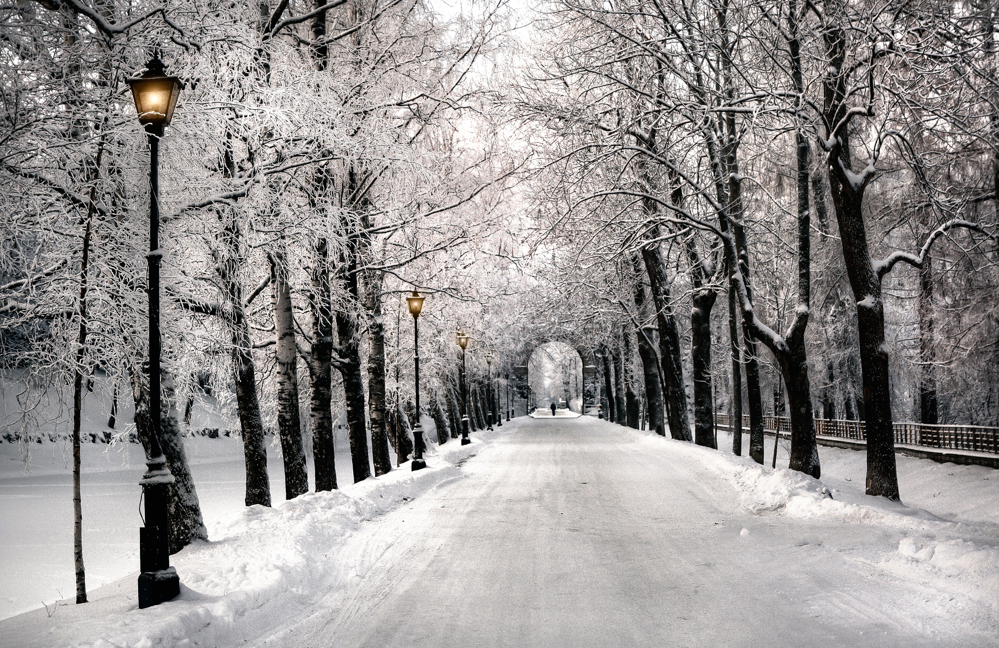 PCデスクトップに冬, 雪, 道, 公園, 写真撮影, 並木道画像を無料でダウンロード