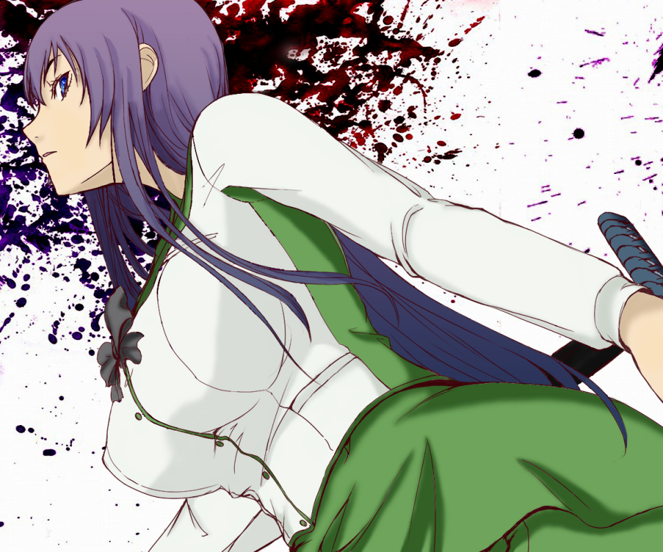 Laden Sie das Animes, Saeko Busujima, High School Der Toten-Bild kostenlos auf Ihren PC-Desktop herunter