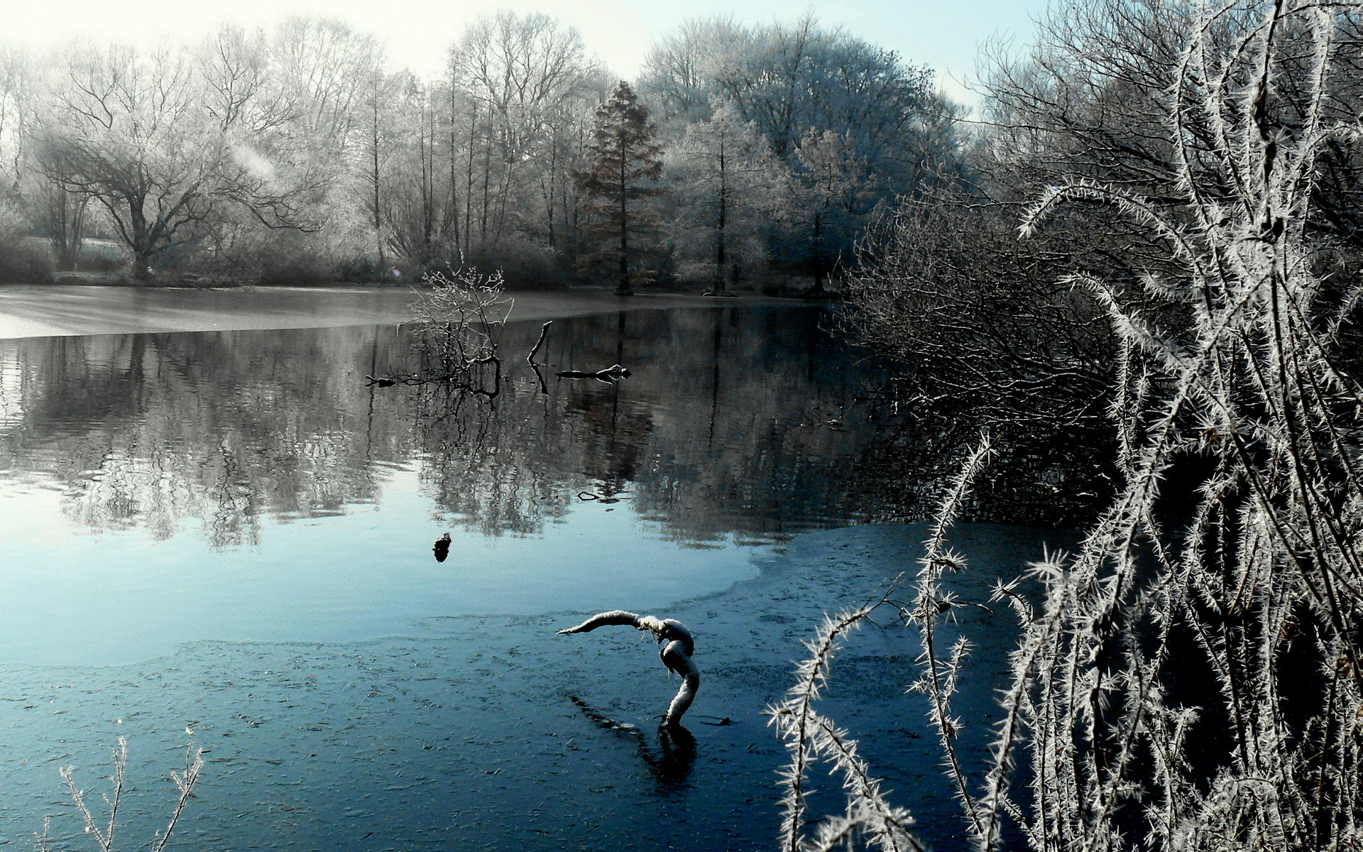 Descarga gratuita de fondo de pantalla para móvil de Invierno, Tierra/naturaleza.