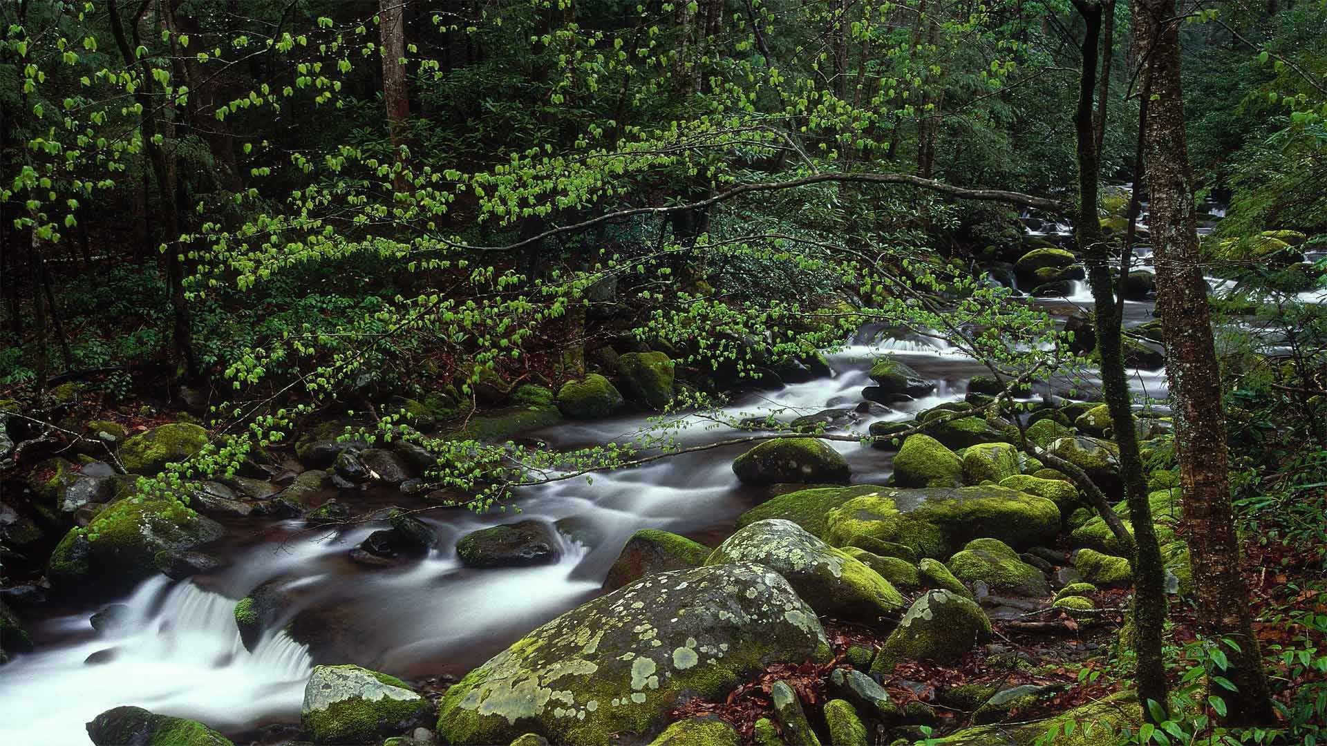 Baixar papel de parede para celular de Terra/natureza, Cachoeira gratuito.