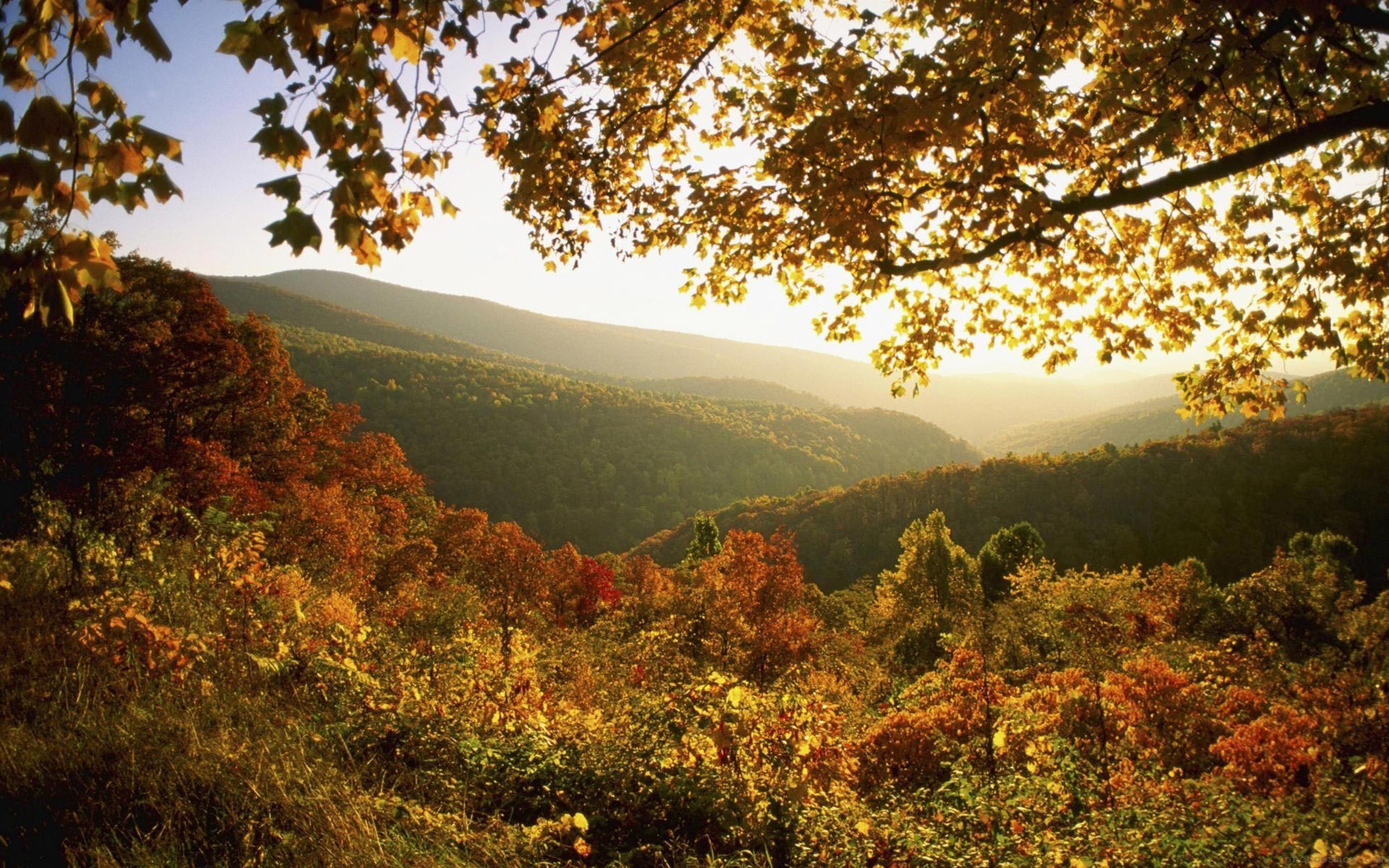 Descarga gratis la imagen Otoño, Tierra/naturaleza en el escritorio de tu PC