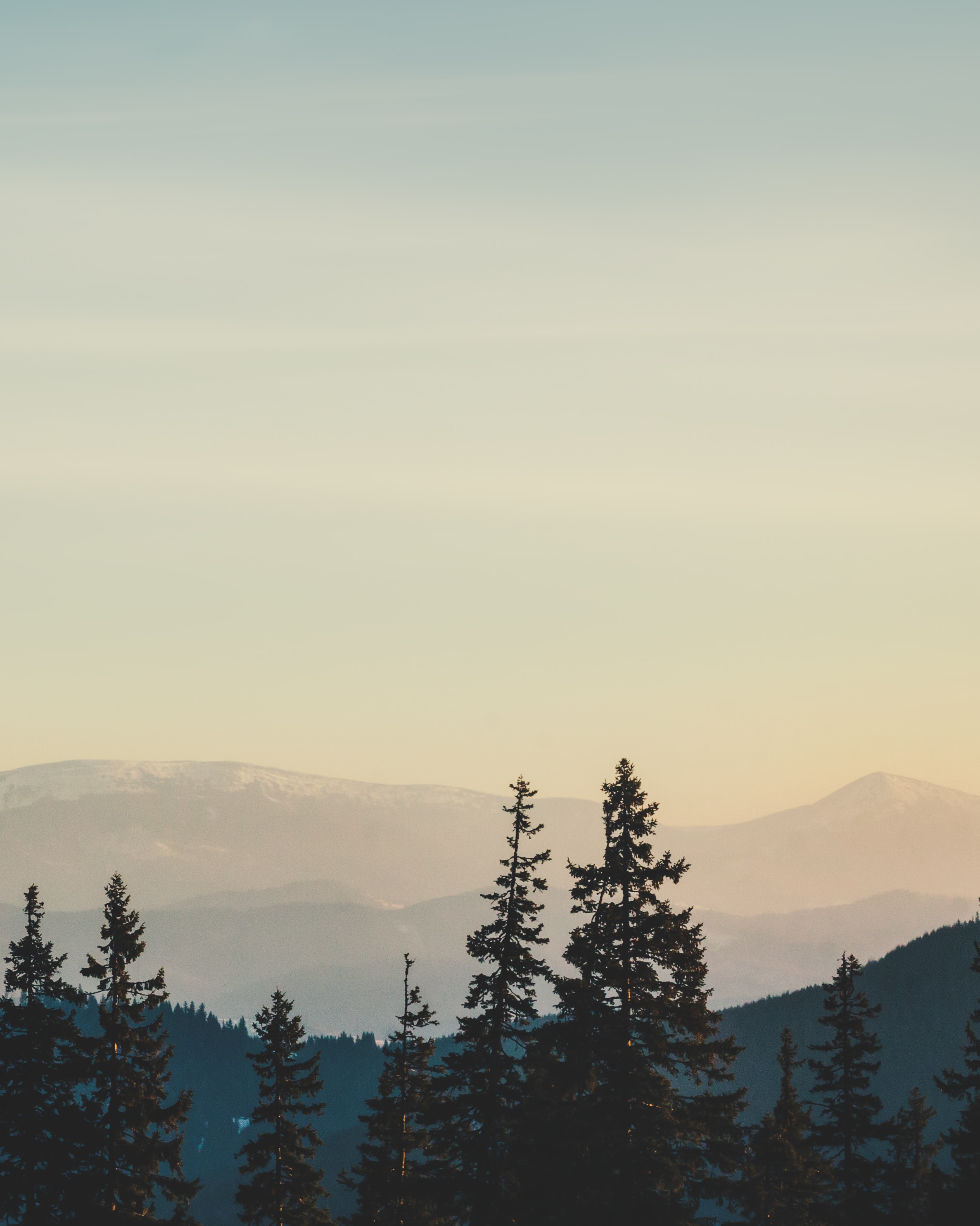 Free download wallpaper Trees, Nature, Fog, Mountains, Landscape on your PC desktop