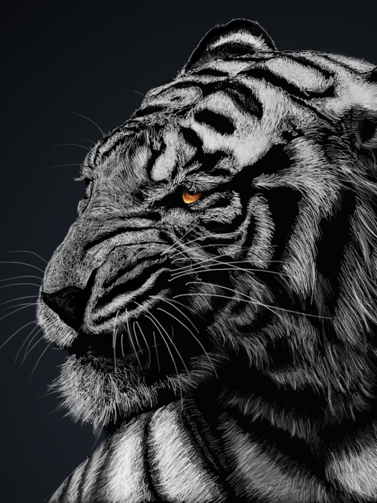 Download mobile wallpaper White Tiger, Cats, Animal for free.