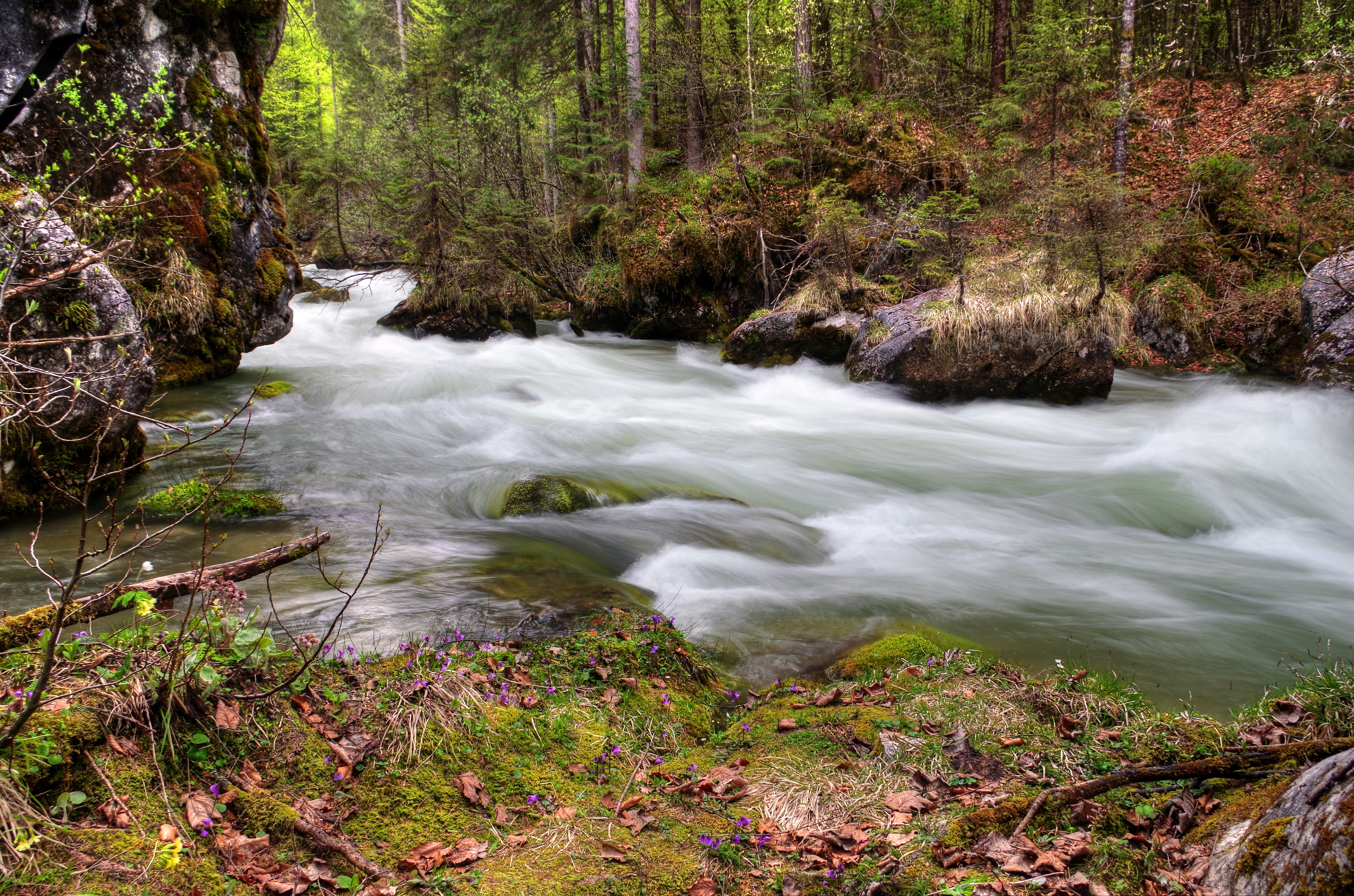 Laden Sie das Natur, Fließen, Fluss, Wald, Flüsse-Bild kostenlos auf Ihren PC-Desktop herunter
