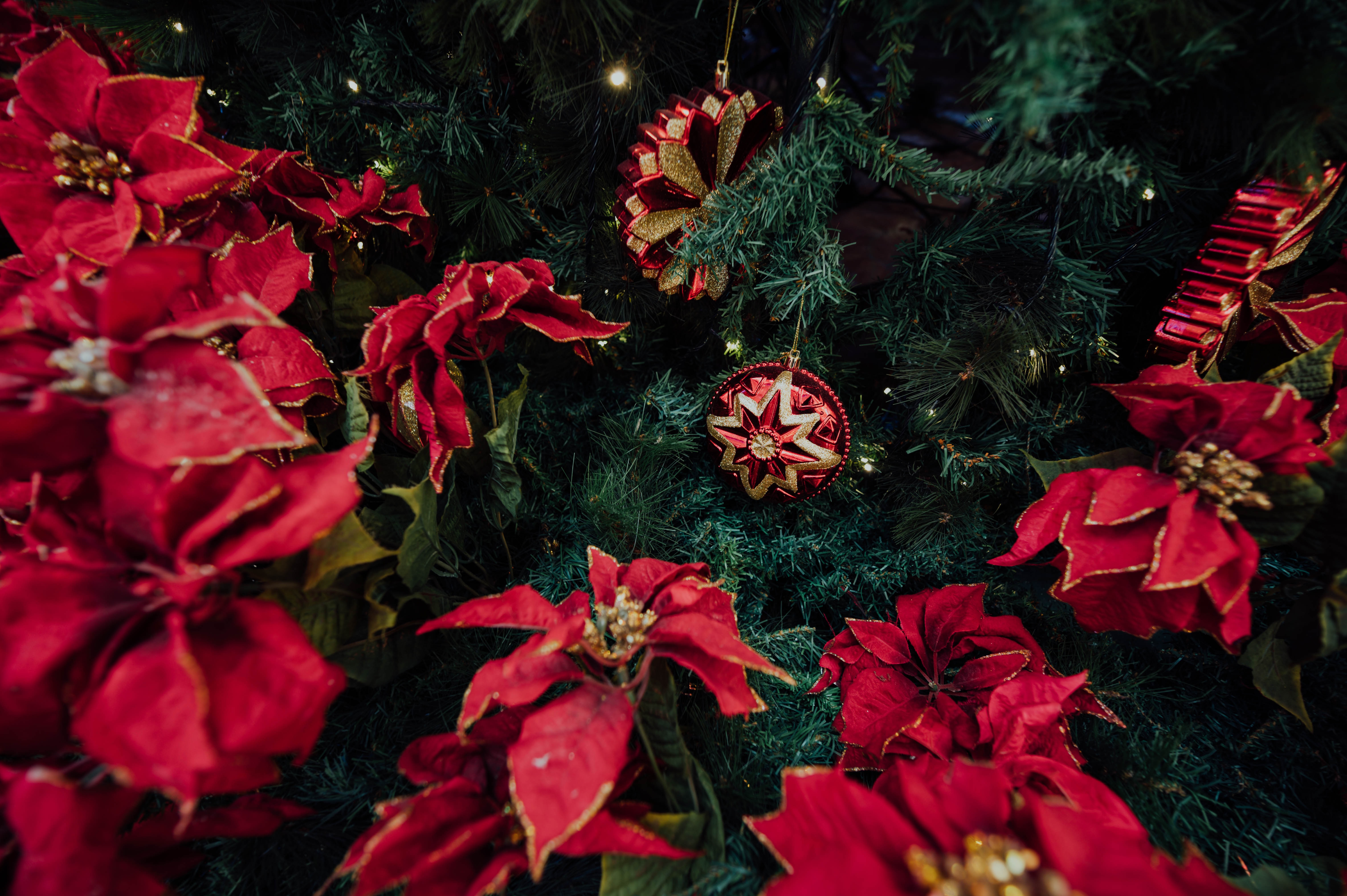 christmas, holidays, new year, decorations, holiday, christmas tree