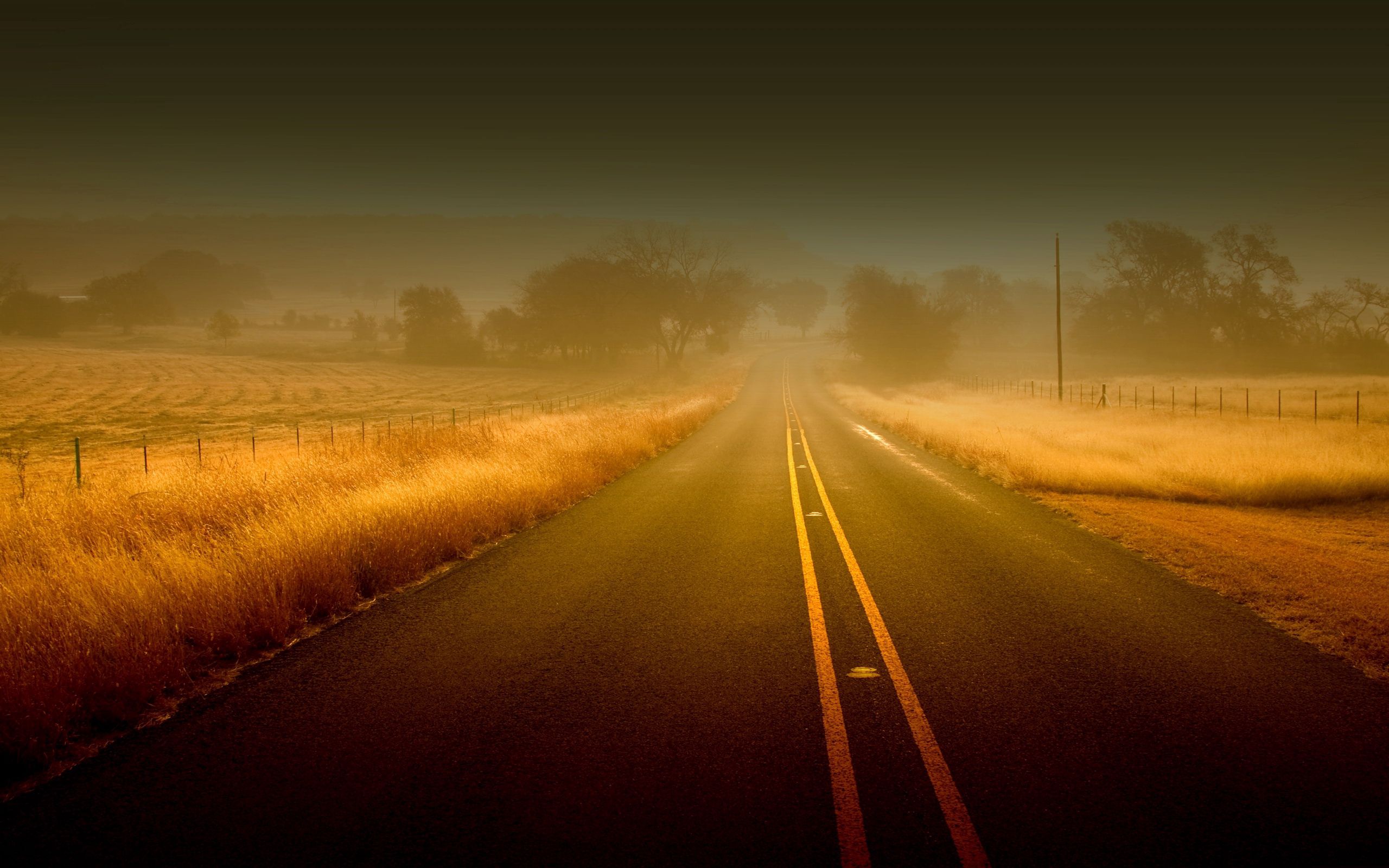 road, nature, streaks, fields, grass, autumn, fog, asphalt, lines, stripes, unknown, obscurity desktop HD wallpaper