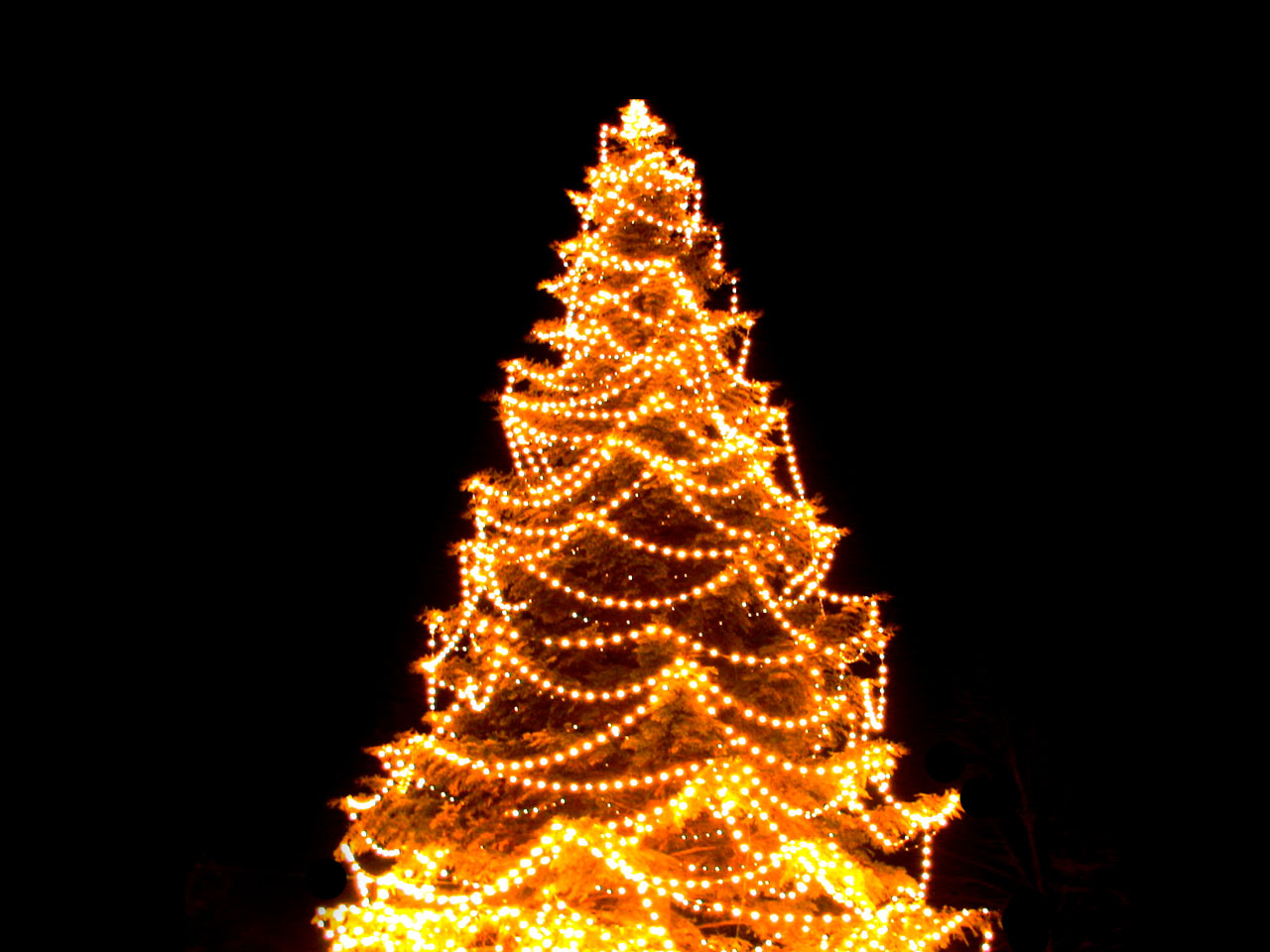 Free download wallpaper Christmas, Holiday, Christmas Tree, Christmas Lights on your PC desktop