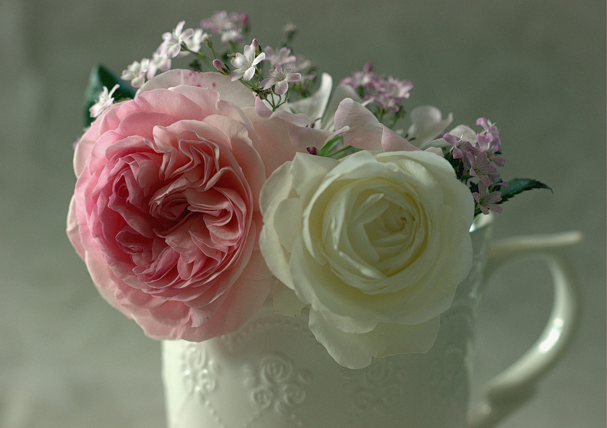 無料モバイル壁紙静物, 花, 写真撮影, 白い花, ピンクの花, ピッチャーをダウンロードします。