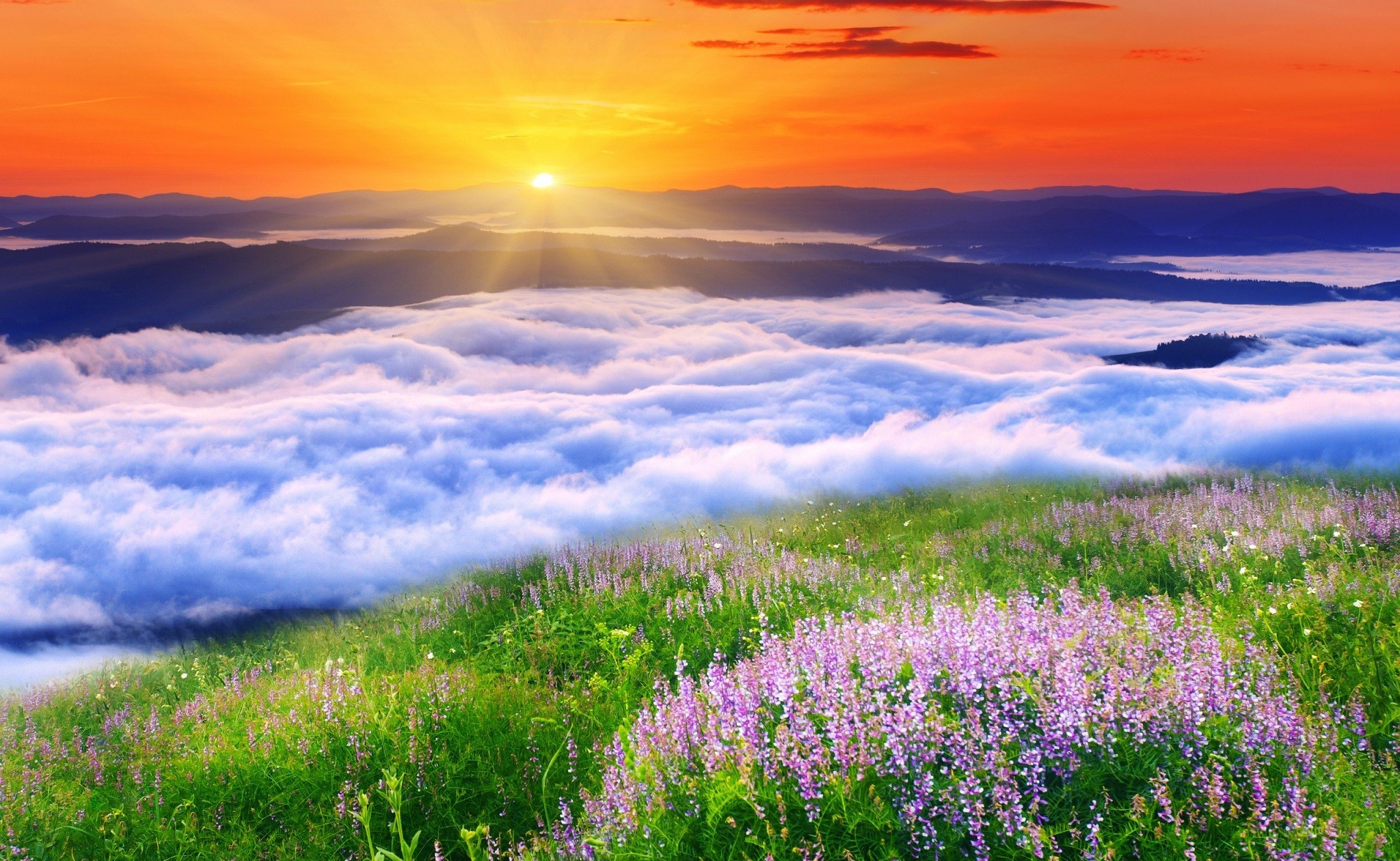 Free download wallpaper Landscape, Sunset, Earth, Cloud, Meadow on your PC desktop