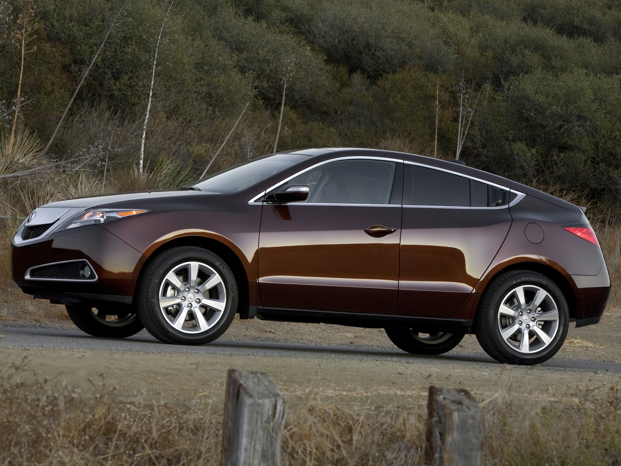 auto, nature, grass, acura, cars, brown, side view, style, akura, shrubs, zdx, 2009