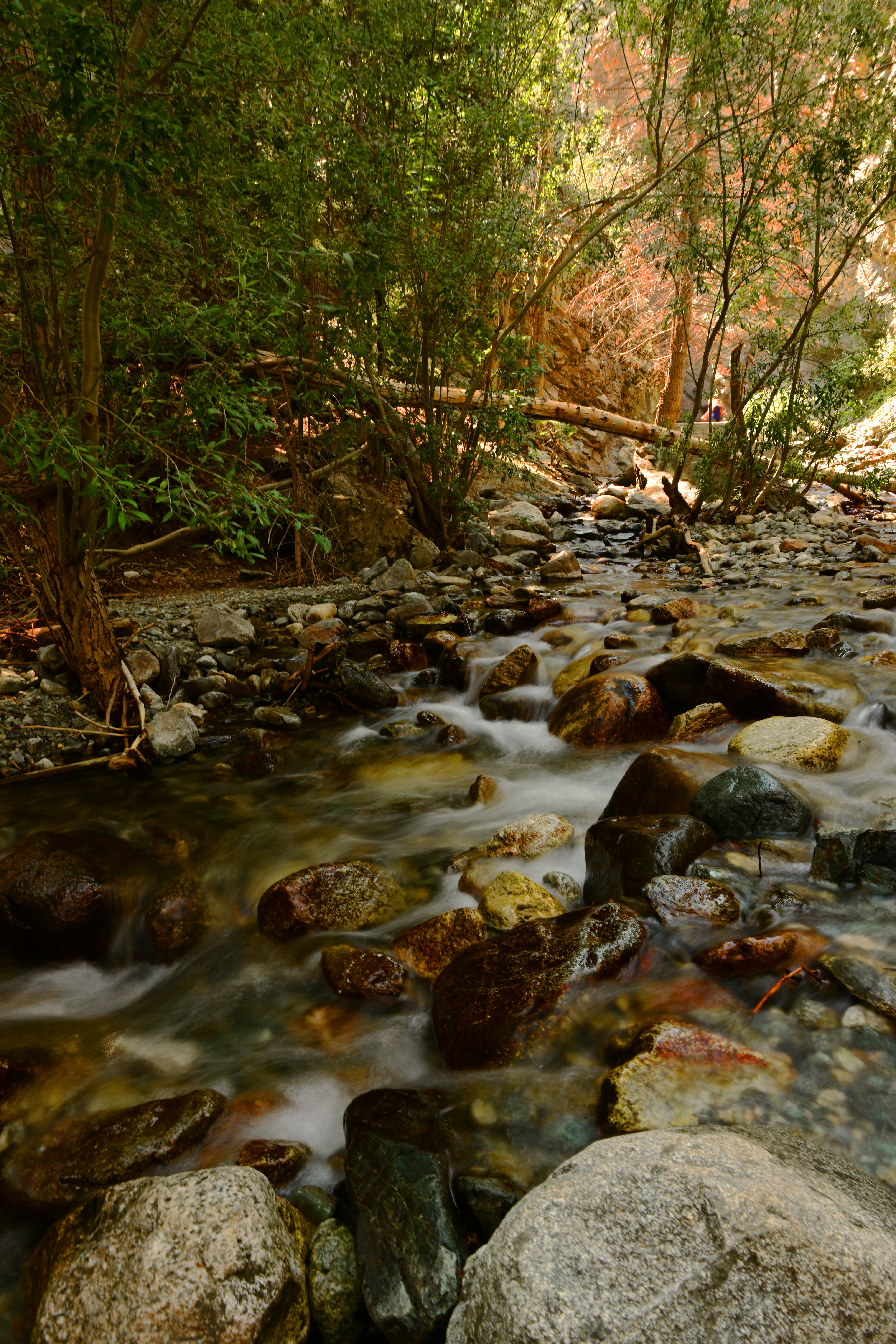 Laden Sie das Natur, Wasser, Stones, Brook, Bäume, Bach, Flüsse-Bild kostenlos auf Ihren PC-Desktop herunter