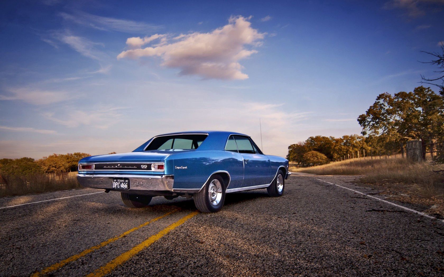 chevrolet, cars, back view, rear view, 1966, chevelle
