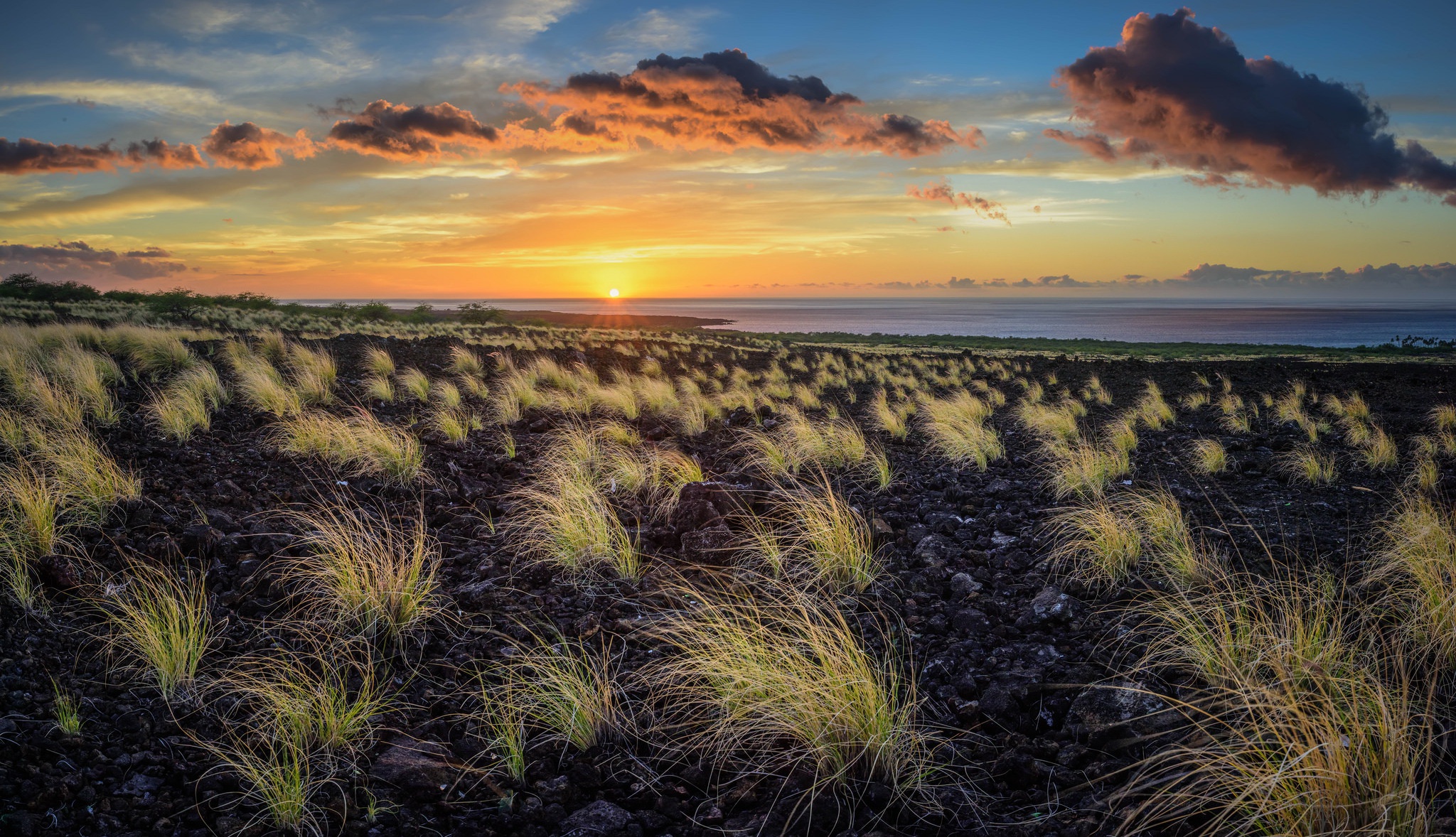 Descarga gratis la imagen Naturaleza, Hierba, Cielo, Horizonte, Océano, Nube, Atardecer, Tierra/naturaleza en el escritorio de tu PC