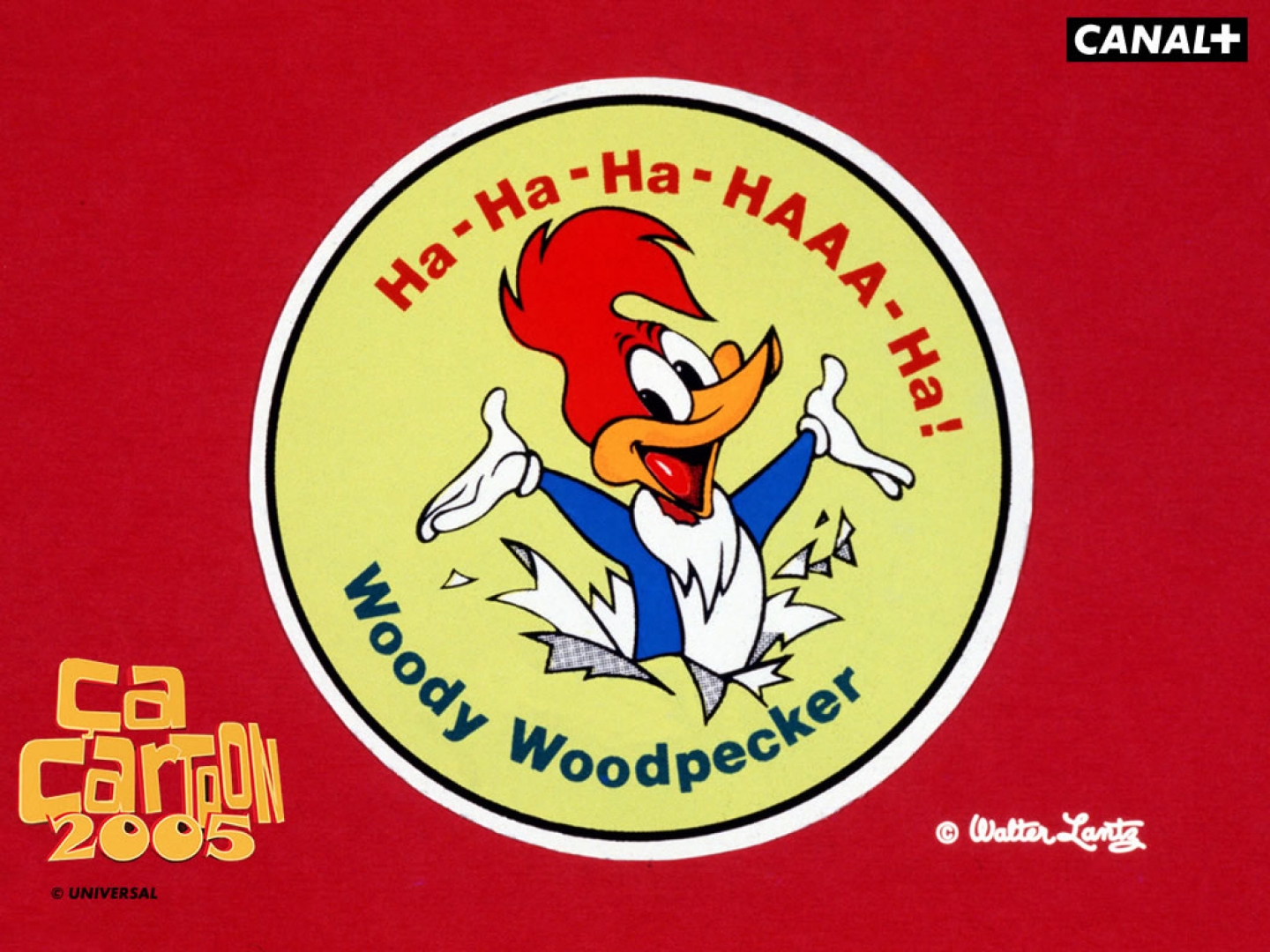 Die besten Woody Woodpecker-Hintergründe für den Telefonbildschirm