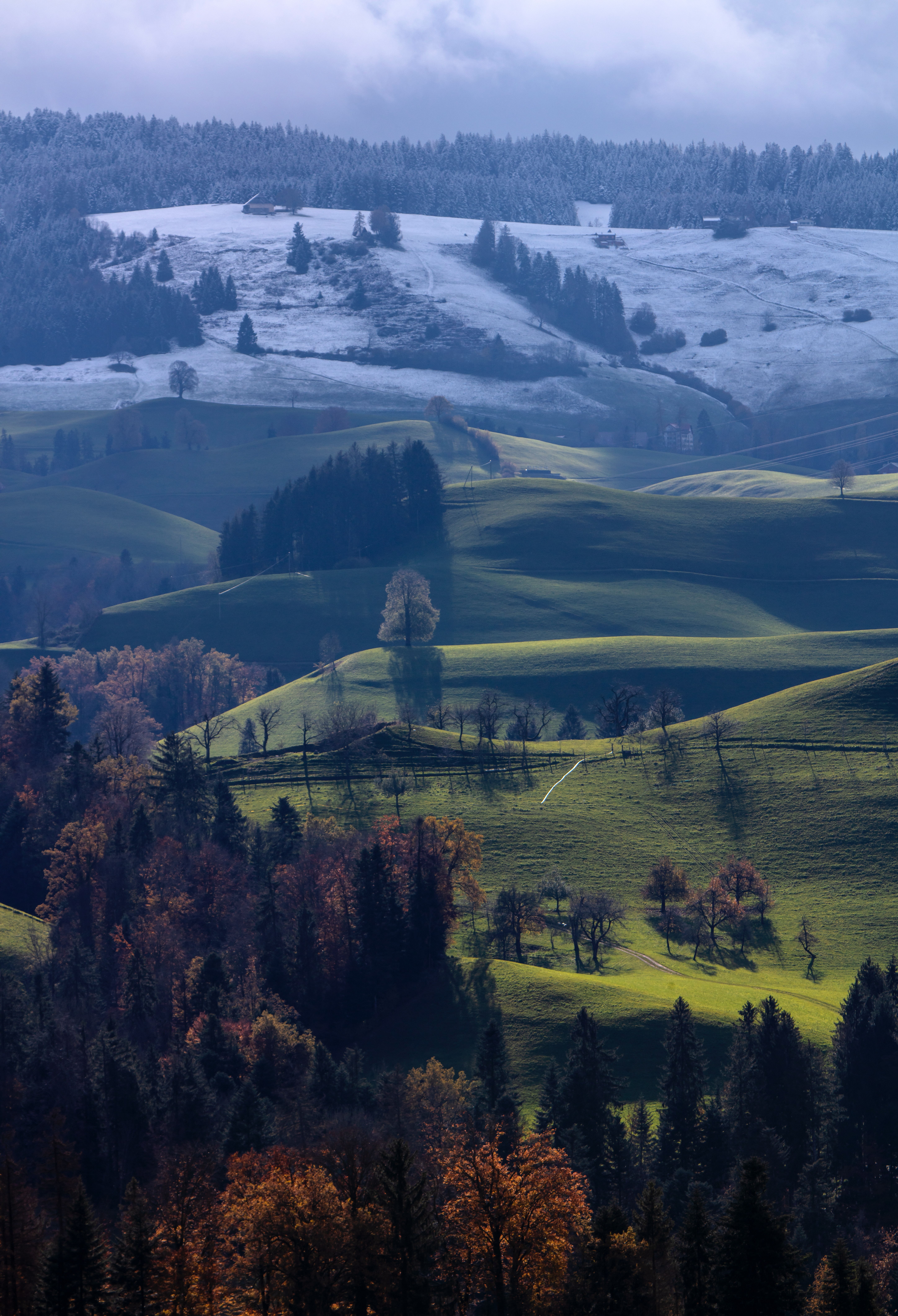 PCデスクトップに冬, 自然, 木, 丘, 秋, 風景画像を無料でダウンロード