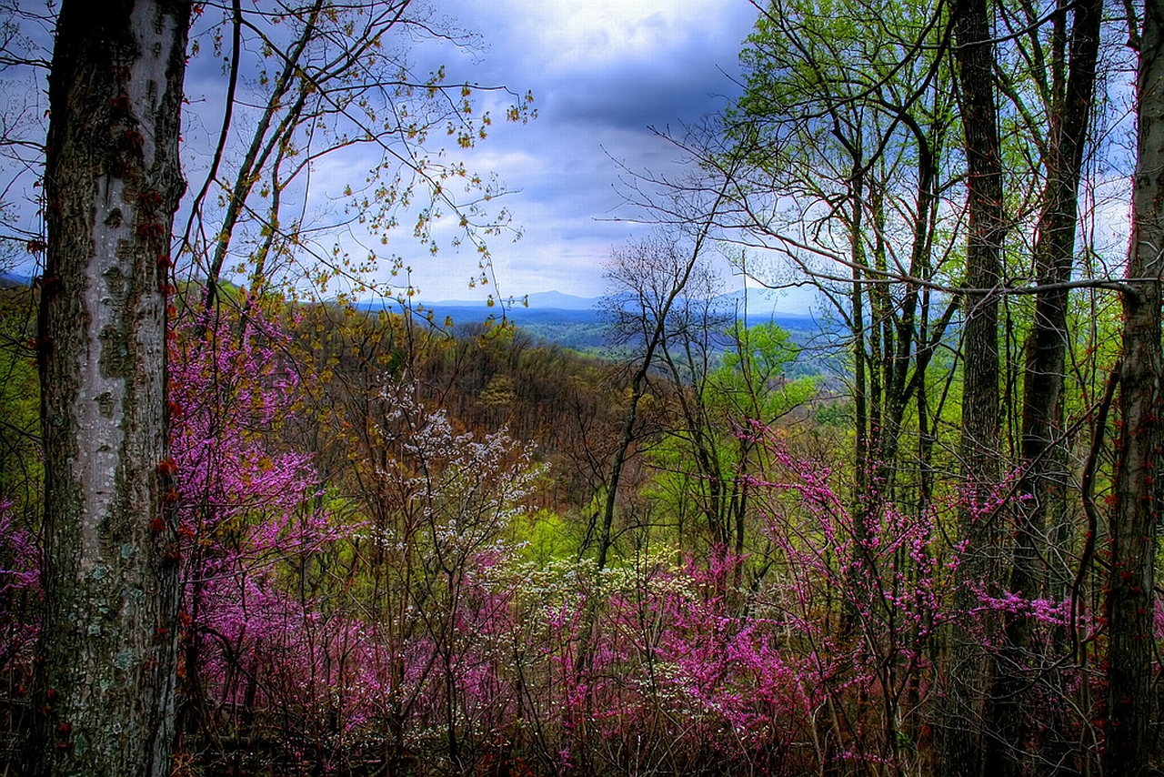 Descarga gratis la imagen Paisaje, Tierra/naturaleza en el escritorio de tu PC