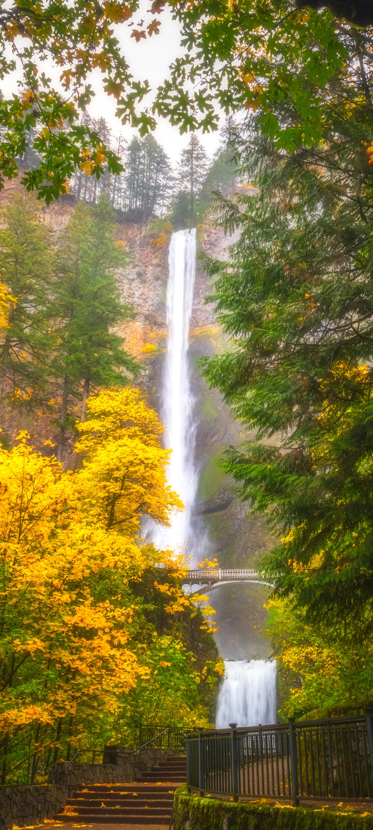 Handy-Wallpaper Herbst, Wasserfälle, Wasserfall, Oregon, Erde/natur, Multnomah Falls kostenlos herunterladen.
