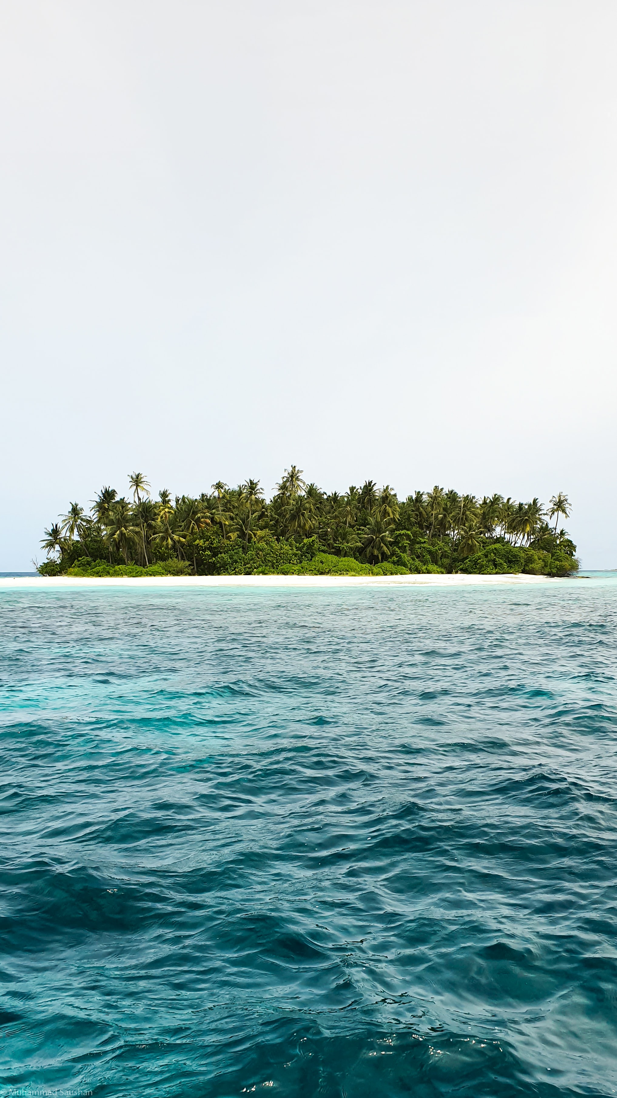 Скачати мобільні шпалери Хвилі, Острів, Природа, Небо, Пальми, Море безкоштовно.