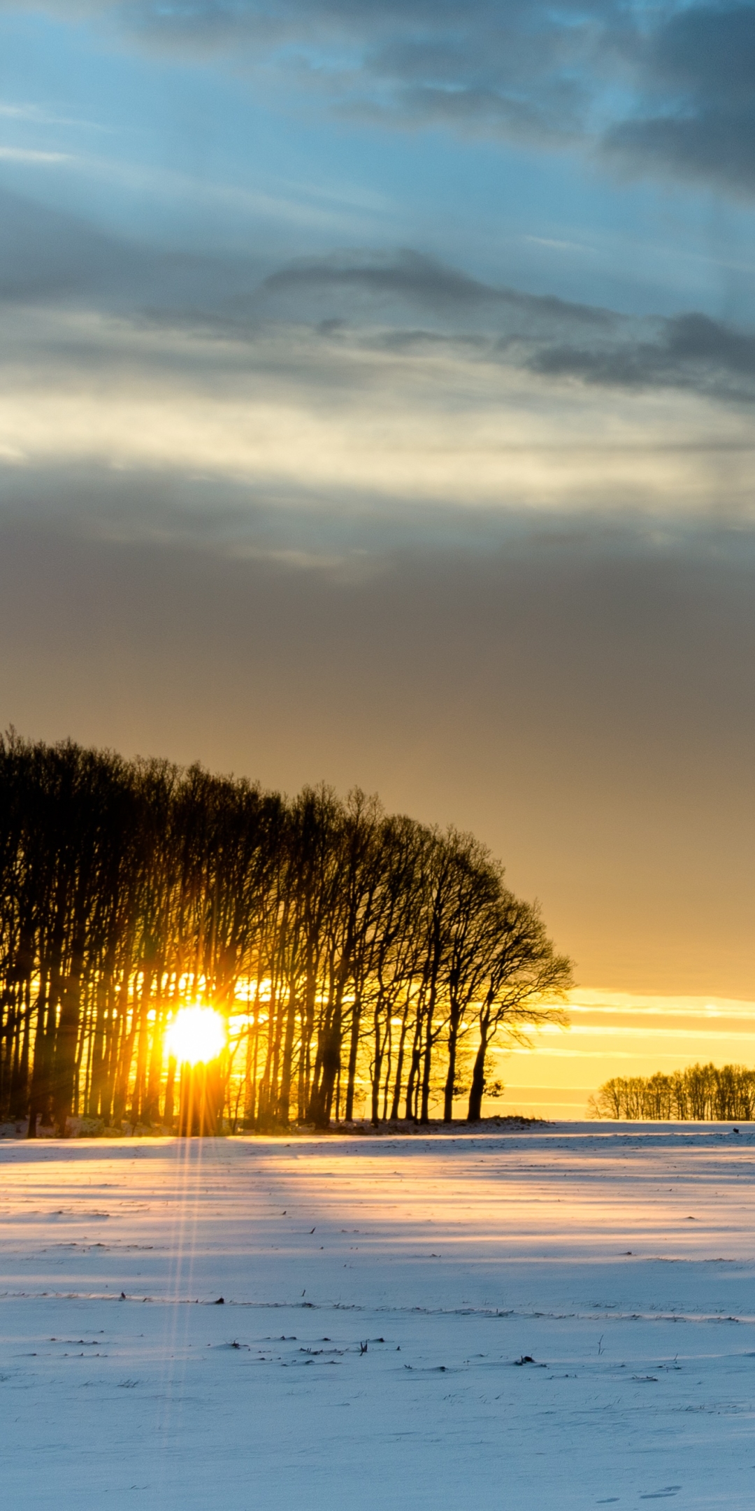 Handy-Wallpaper Winter, Natur, Schnee, Erde/natur kostenlos herunterladen.