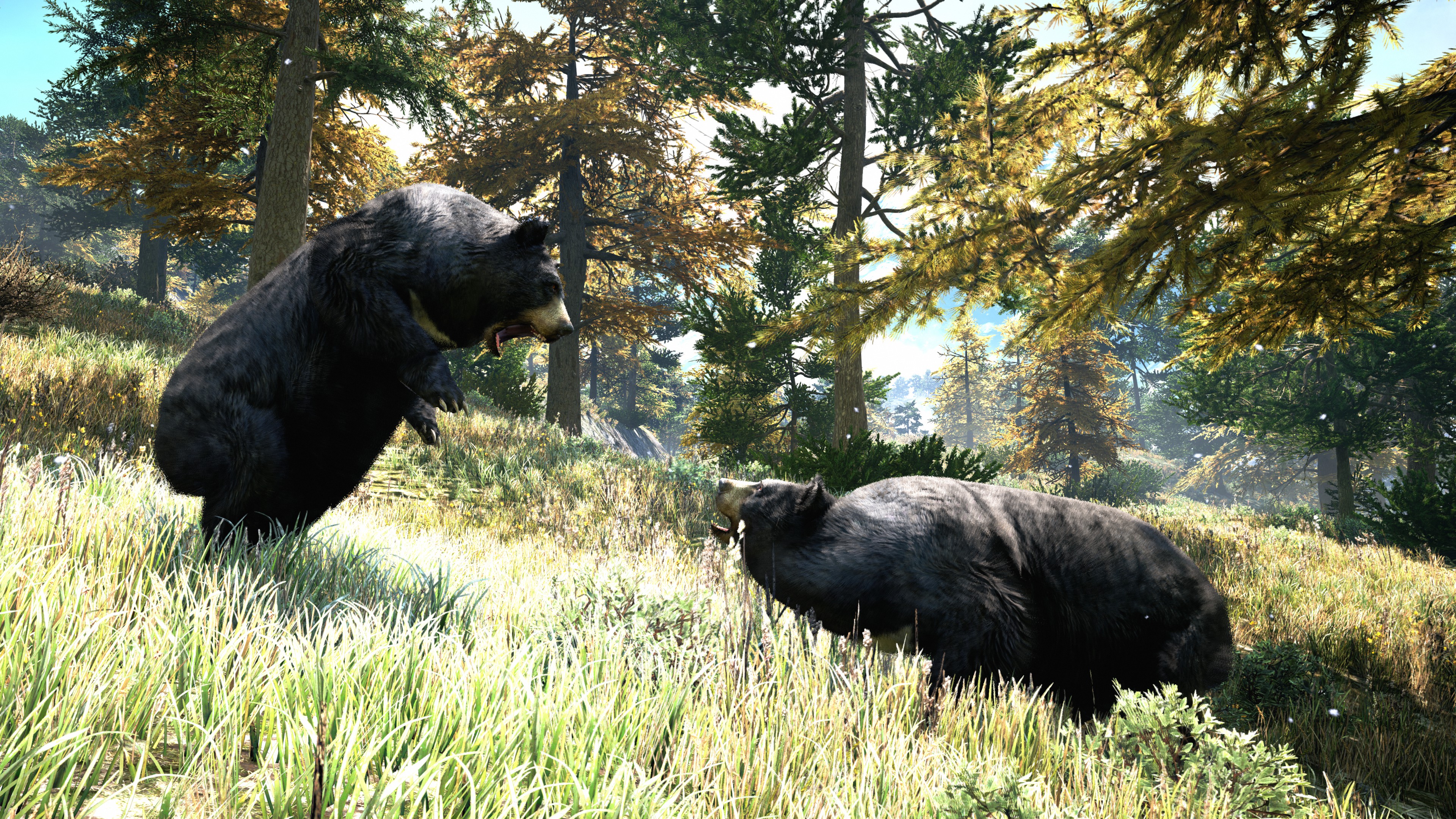 Laden Sie das Bär, Computerspiele, Ferner Schrei, Far Cry, Far Cry 4-Bild kostenlos auf Ihren PC-Desktop herunter