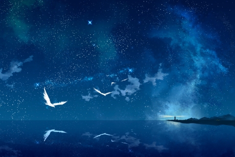 Baixe gratuitamente a imagem Anime, Paisagem, Céu, Pássaro, Céu Estrelado na área de trabalho do seu PC