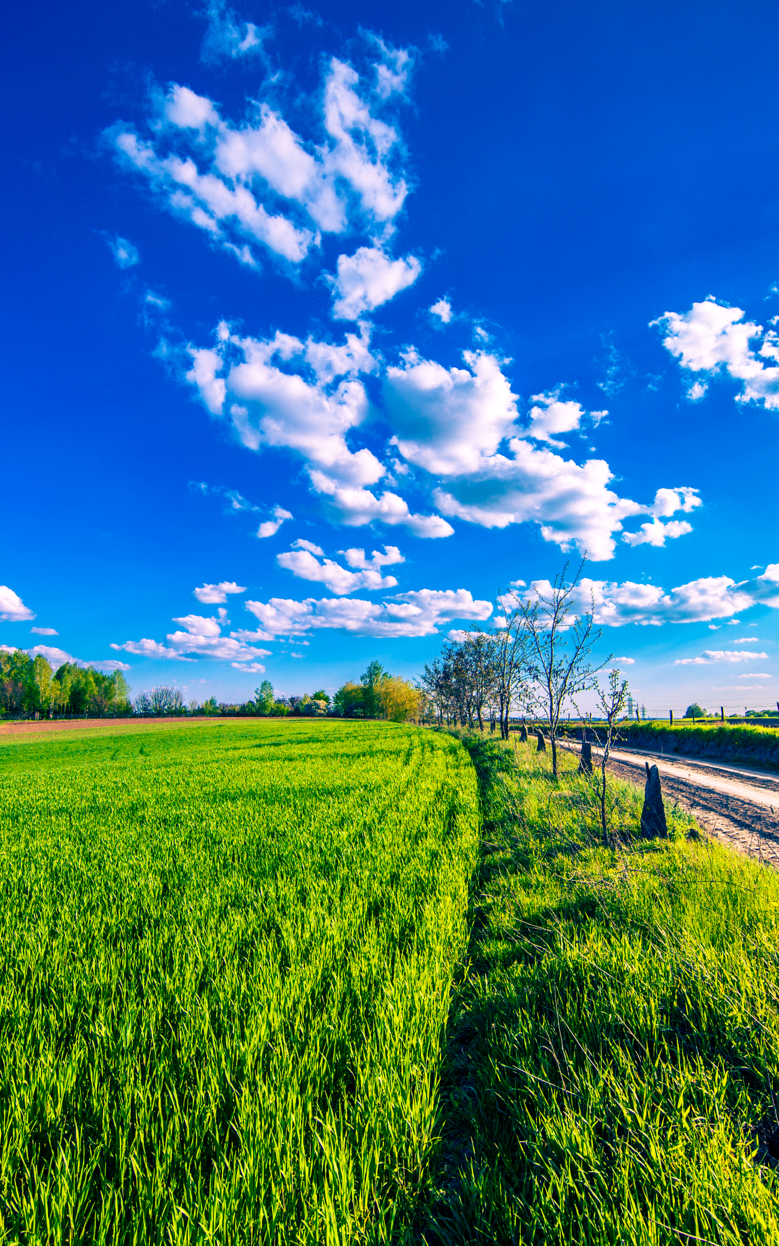 Download mobile wallpaper Landscape, Nature, Sky, Summer, Field, Cloud, Photography for free.