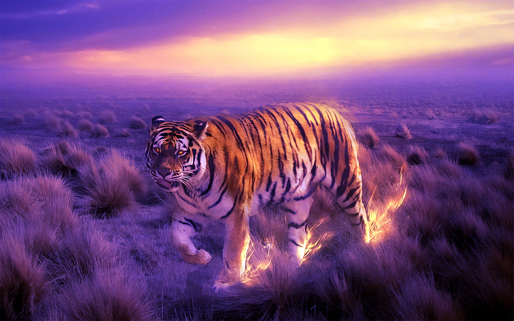 Free download wallpaper Cats, Tiger, Animal on your PC desktop