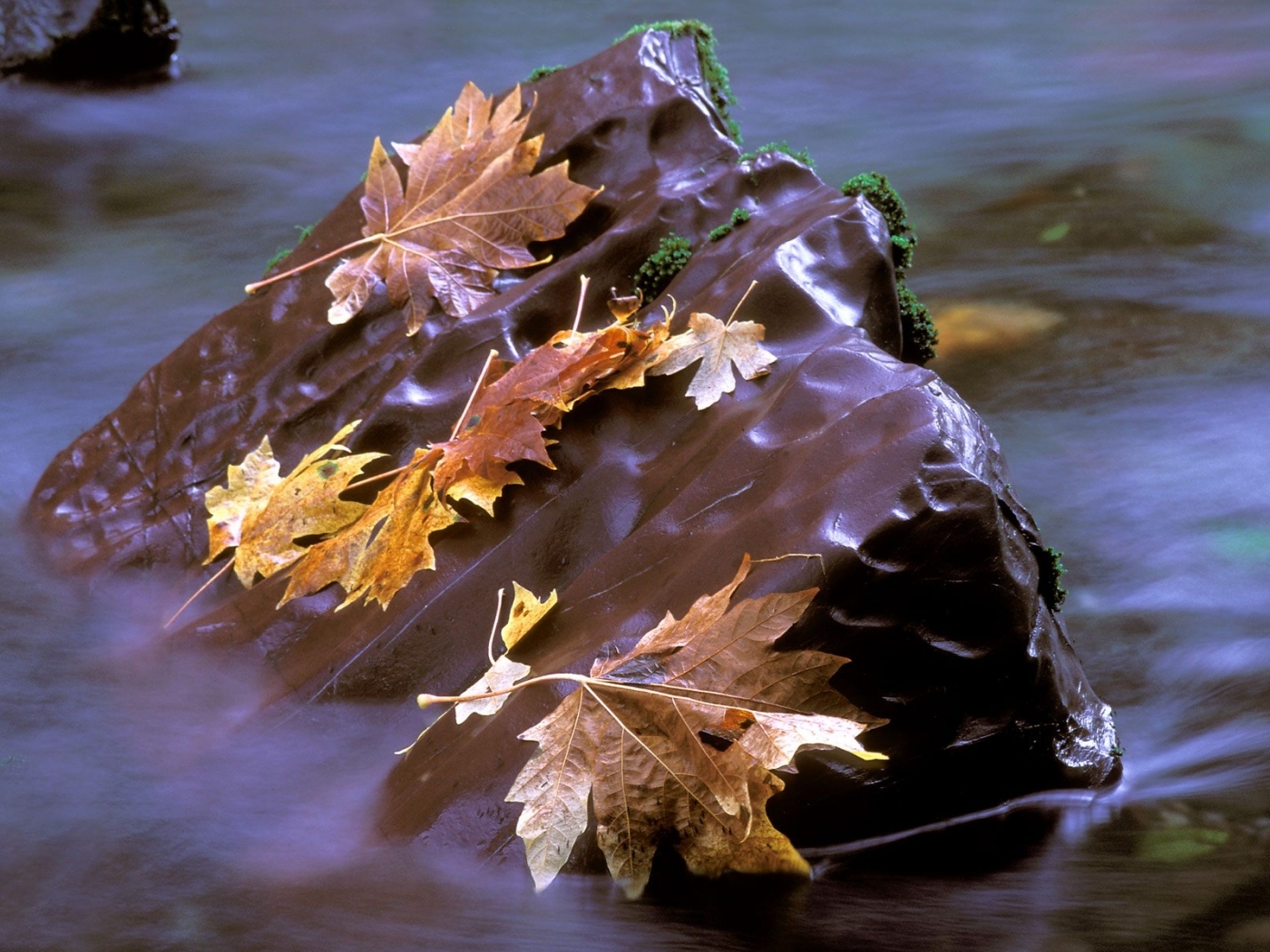 Скачать обои бесплатно Река, Листья, Пейзаж, Осень картинка на рабочий стол ПК