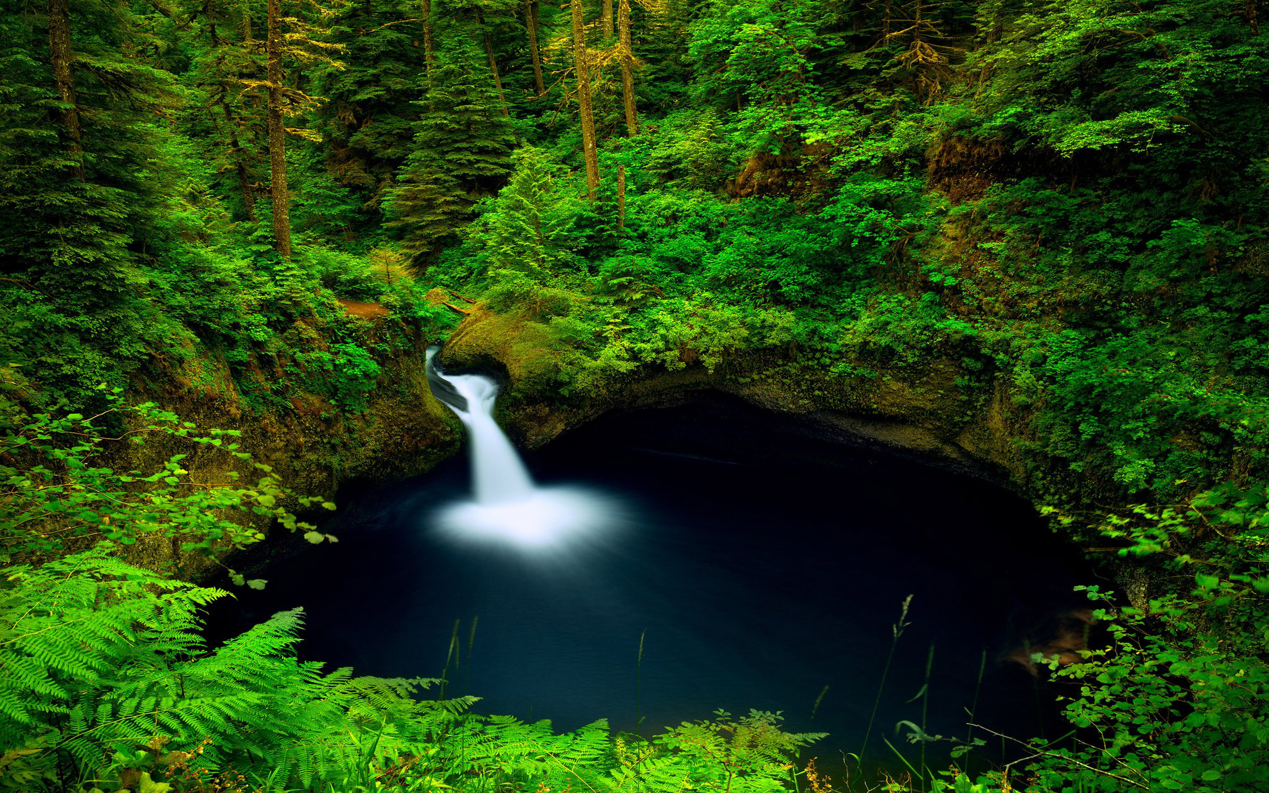 earth, waterfall, forest, green, oregon, punch bowl falls, waterfalls