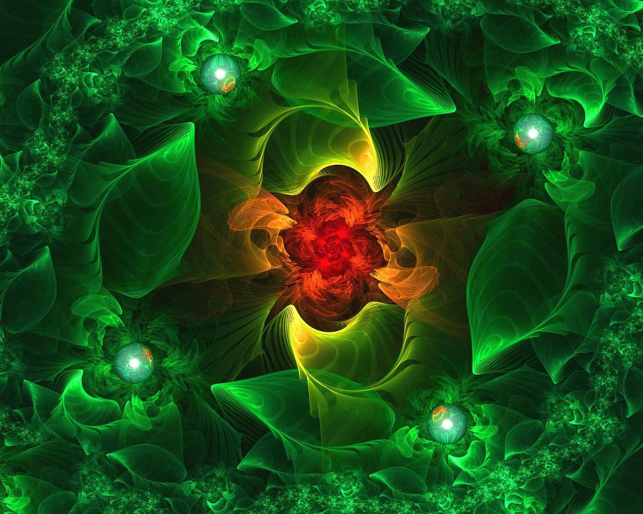 HD wallpaper fractal, abstract, colorful, background, flower, bright, colourful