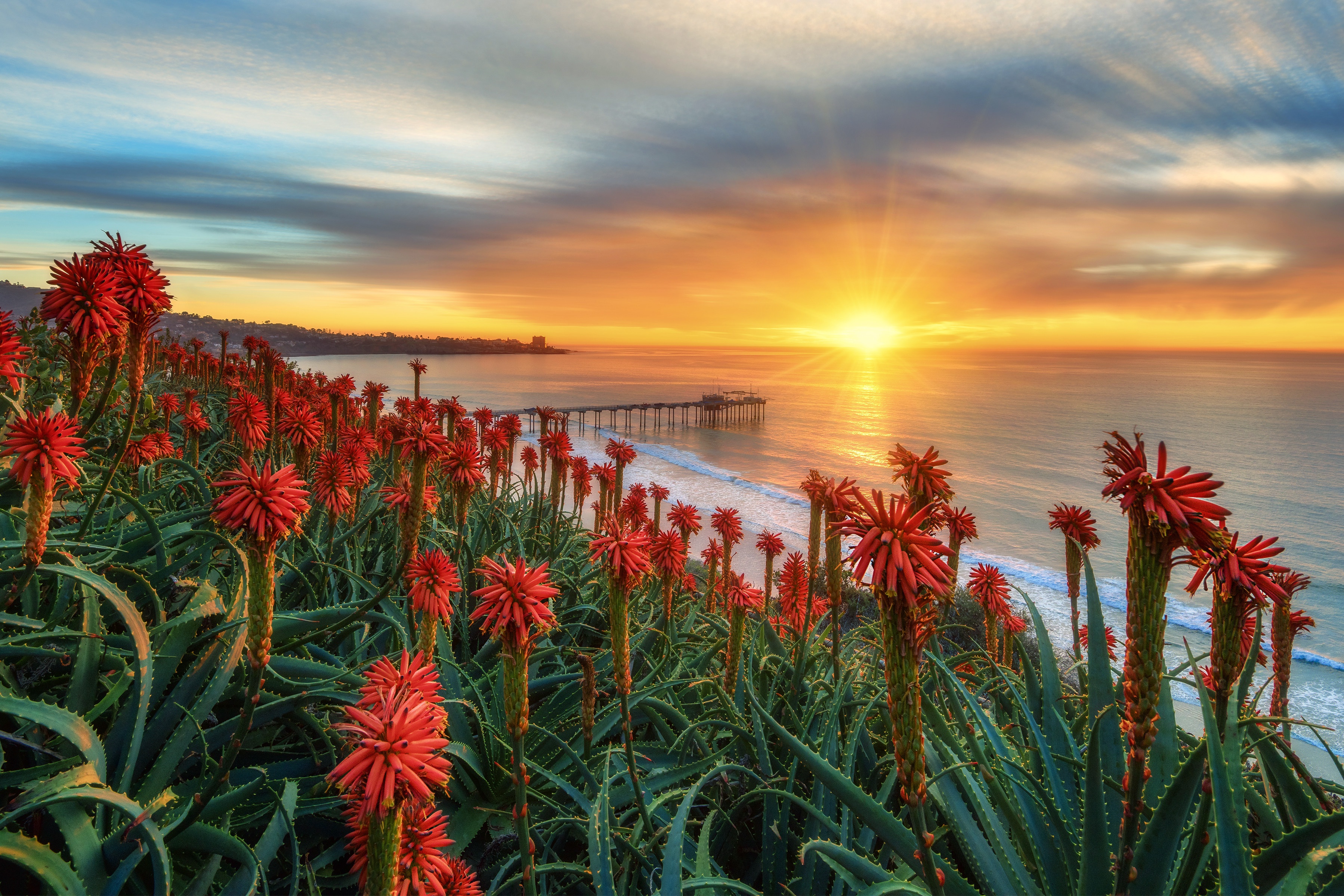 Laden Sie das Seebrücke, Sonnenaufgang, San Diego, Menschengemacht-Bild kostenlos auf Ihren PC-Desktop herunter