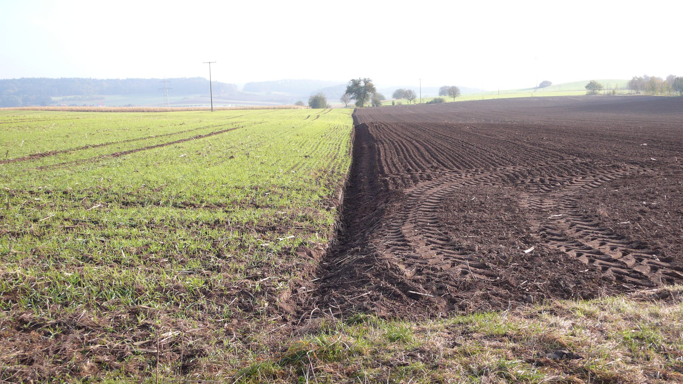 Baixe gratuitamente a imagem Campo, Terra/natureza na área de trabalho do seu PC